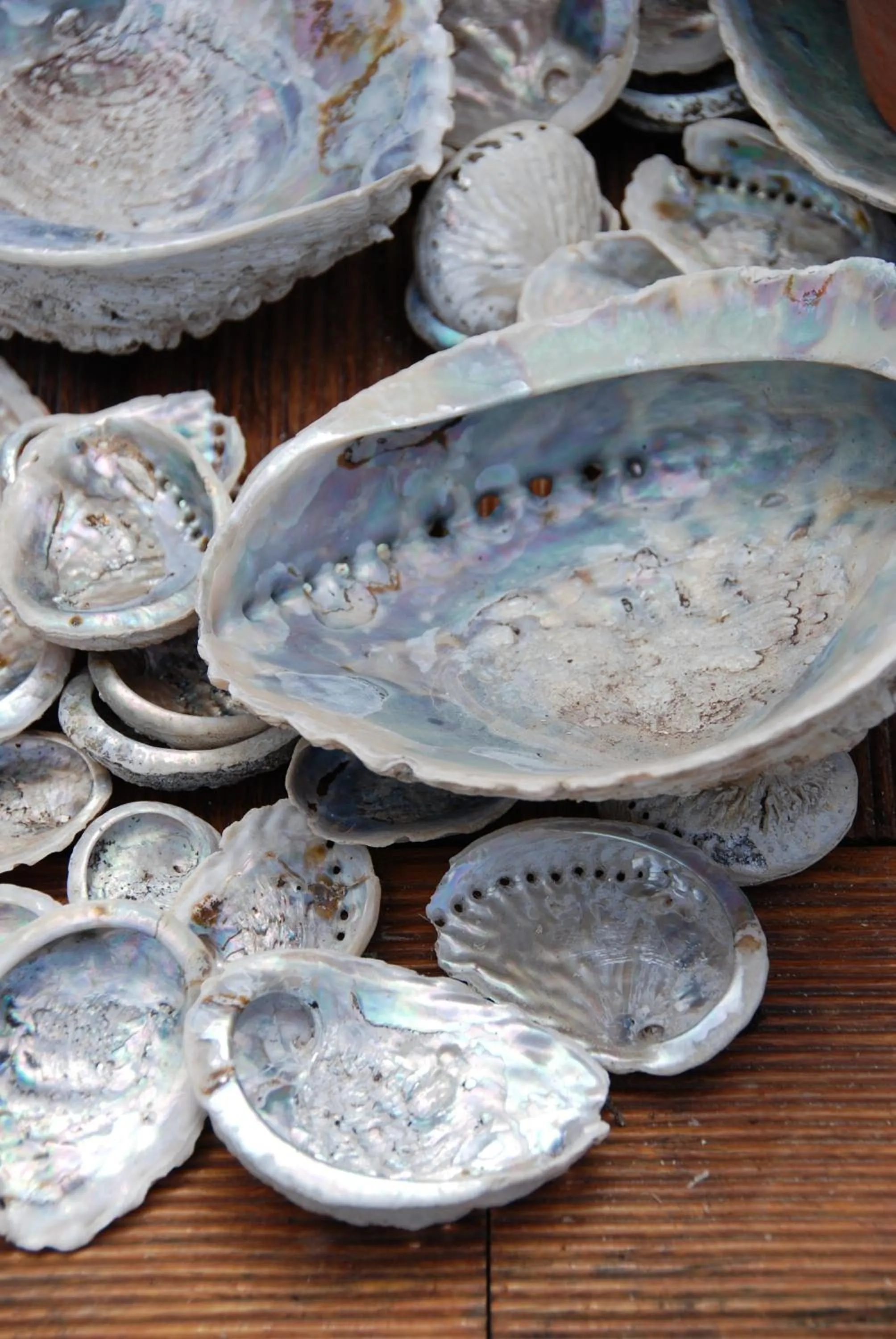 Decorative detail in Bamboo Guest House