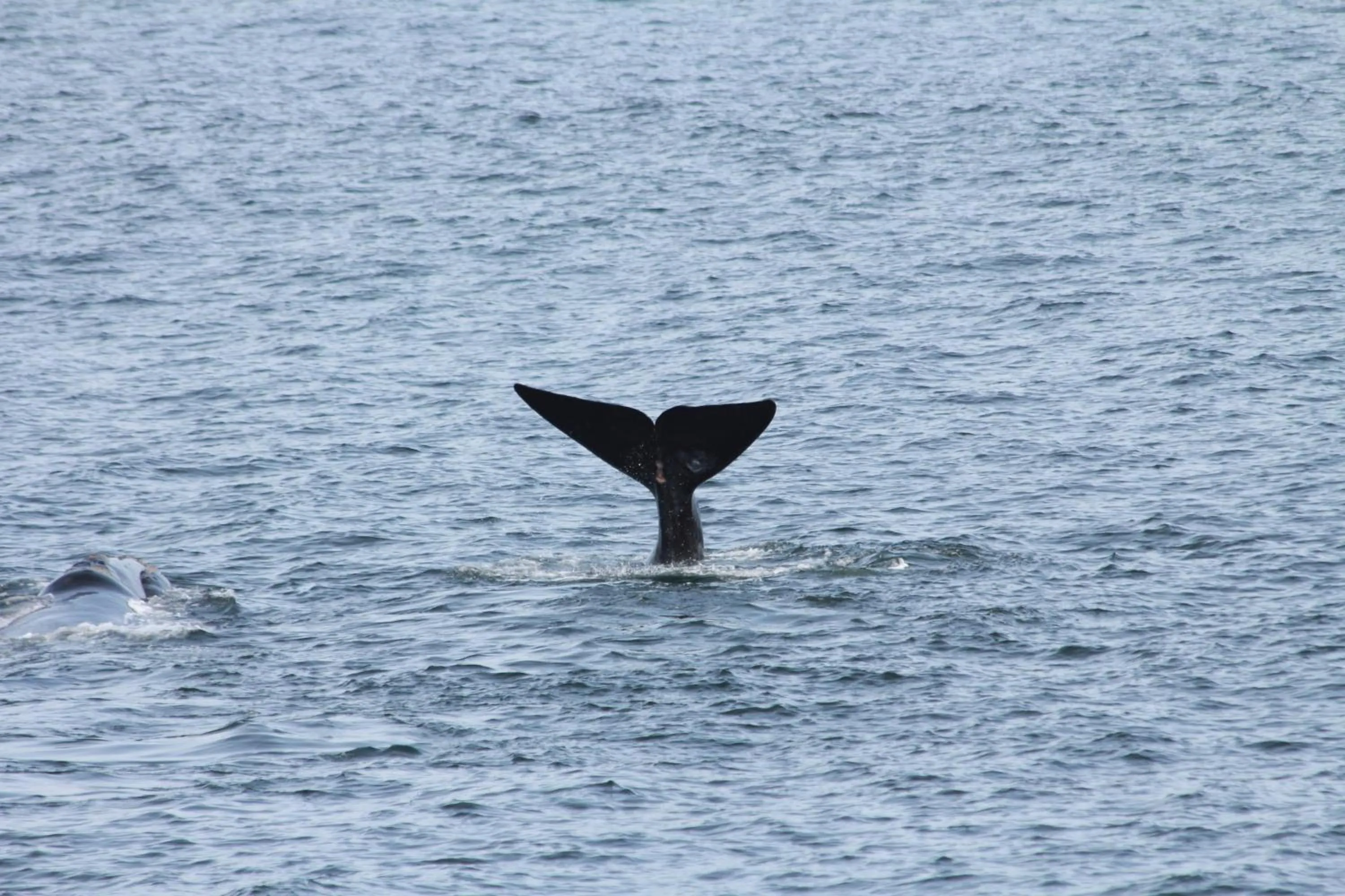 View (from property/room) in Bamboo Guest House
