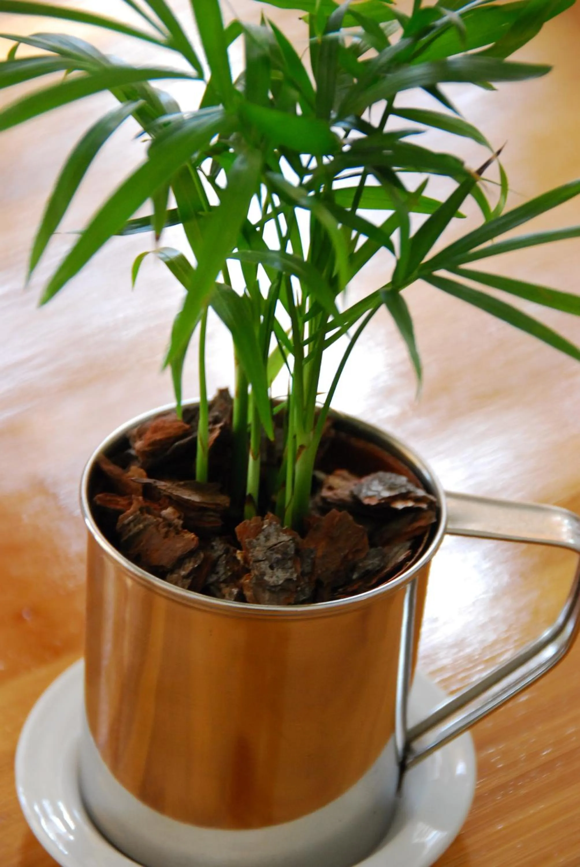 Decorative detail in Bamboo Guest House