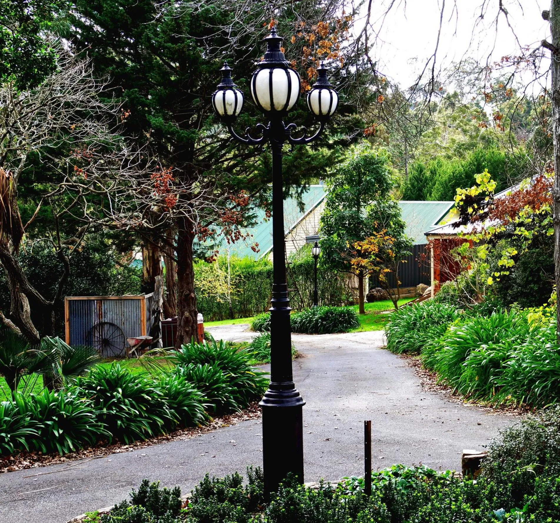 Garden in The Oaks Lilydale Accommodation