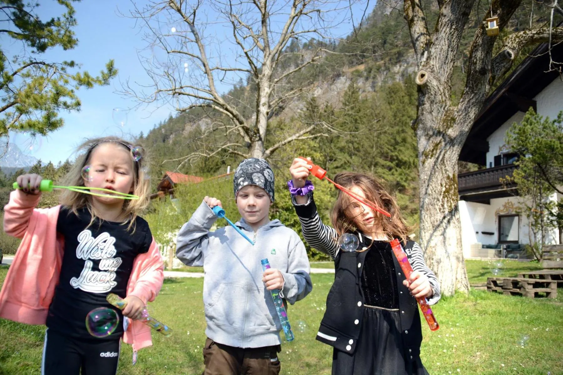 Day in Pension Almhof Baumgarten