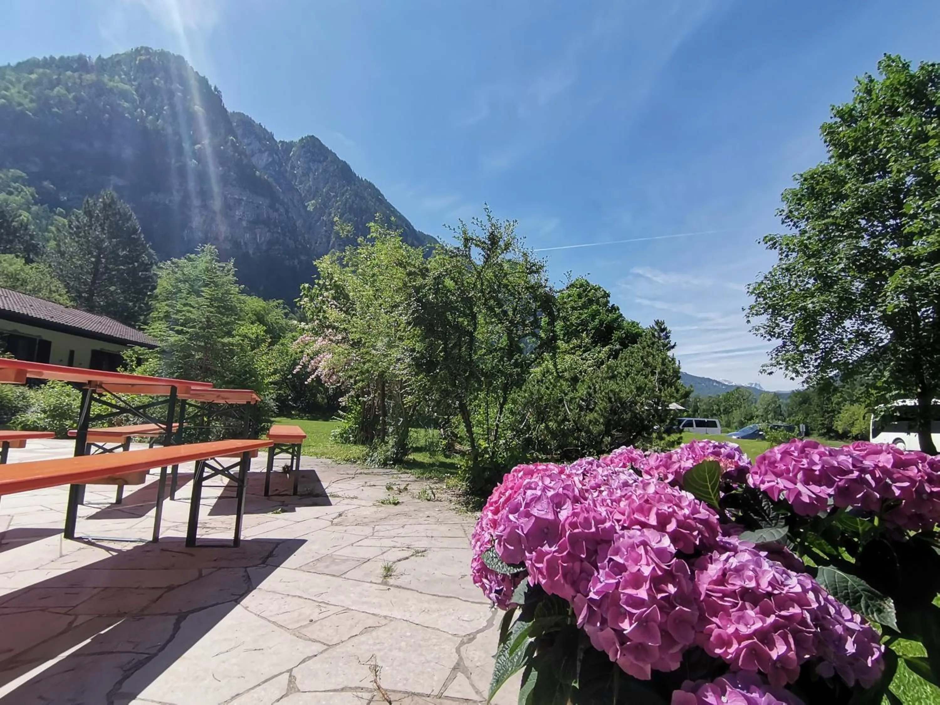 Day in Pension Almhof Baumgarten