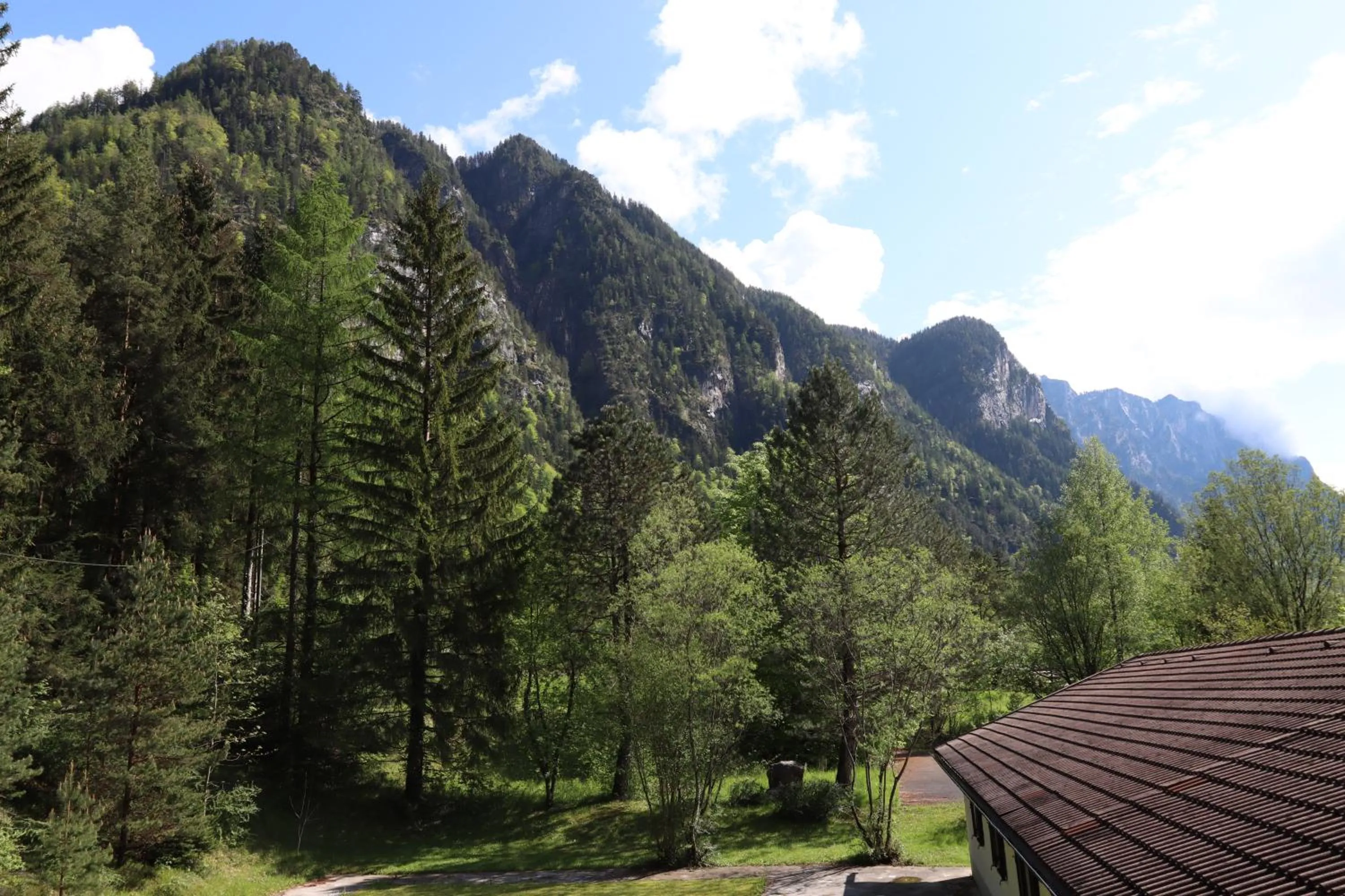 View (from property/room) in Pension Almhof Baumgarten