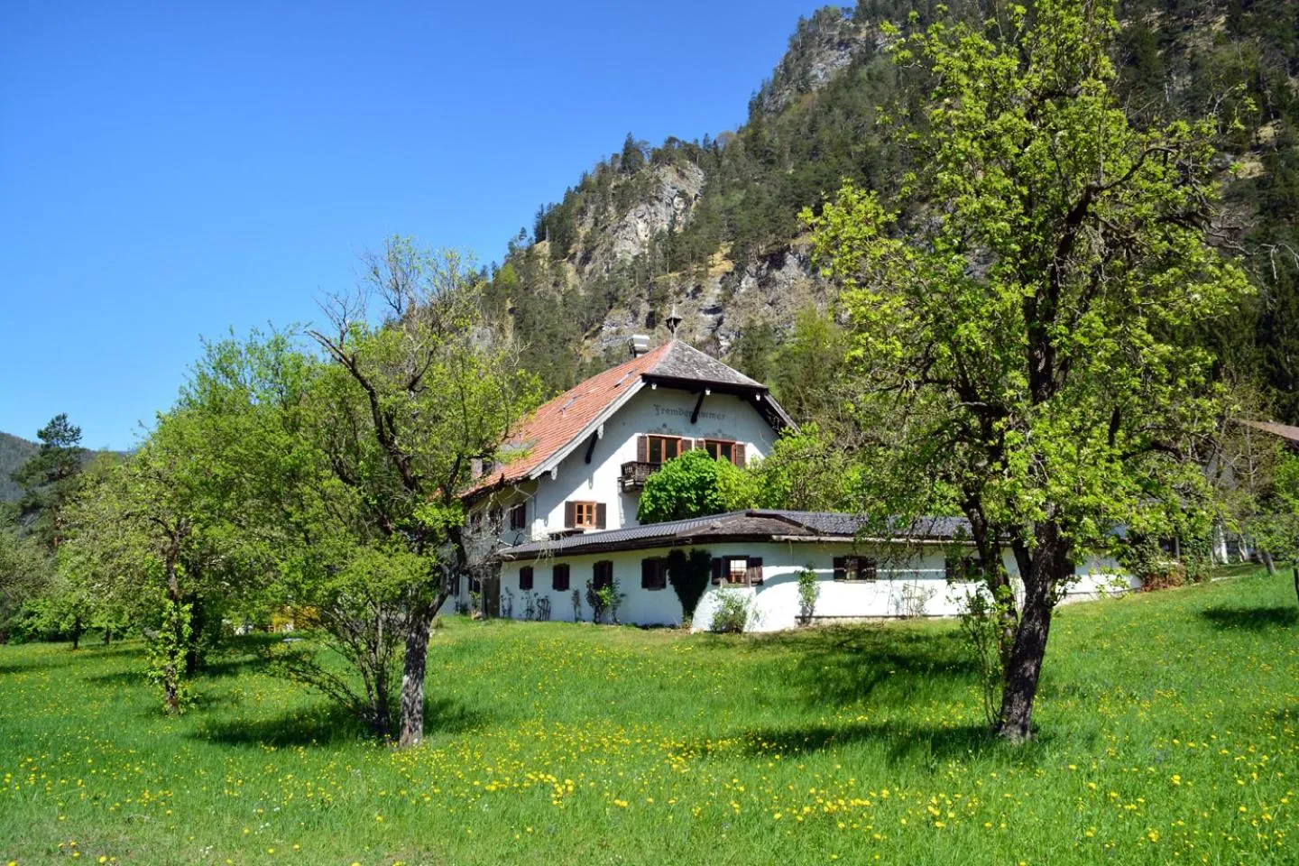Property building in Pension Almhof Baumgarten