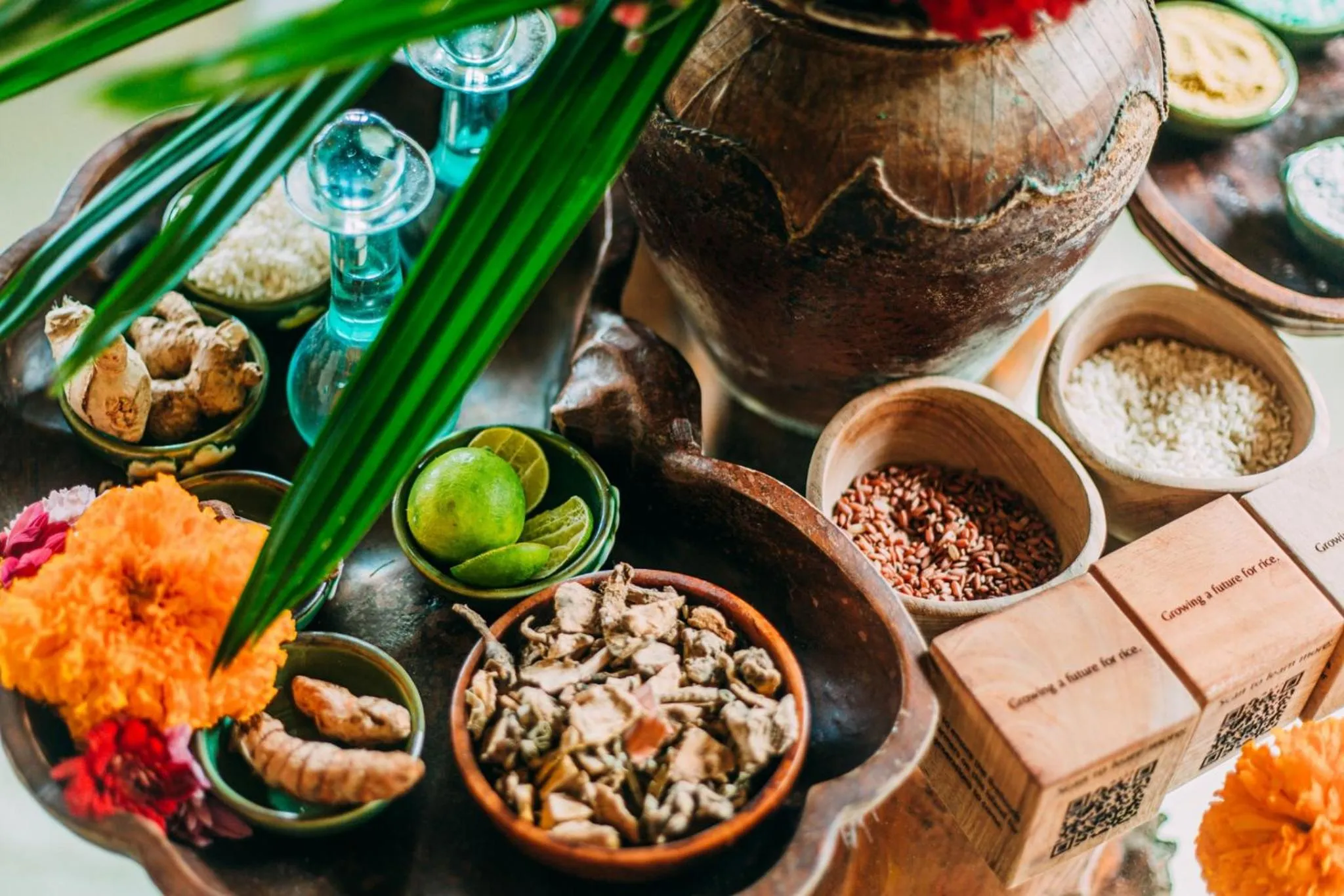 Spa and wellness centre/facilities in Munduk Moding Plantation Nature Resort