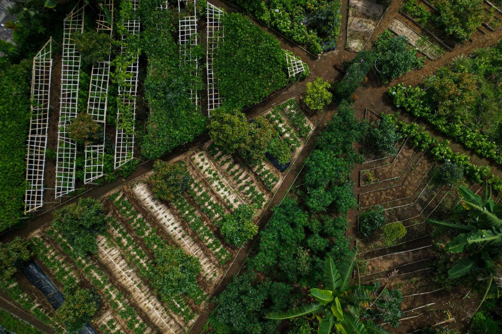 Area and facilities in Munduk Moding Plantation Nature Resort