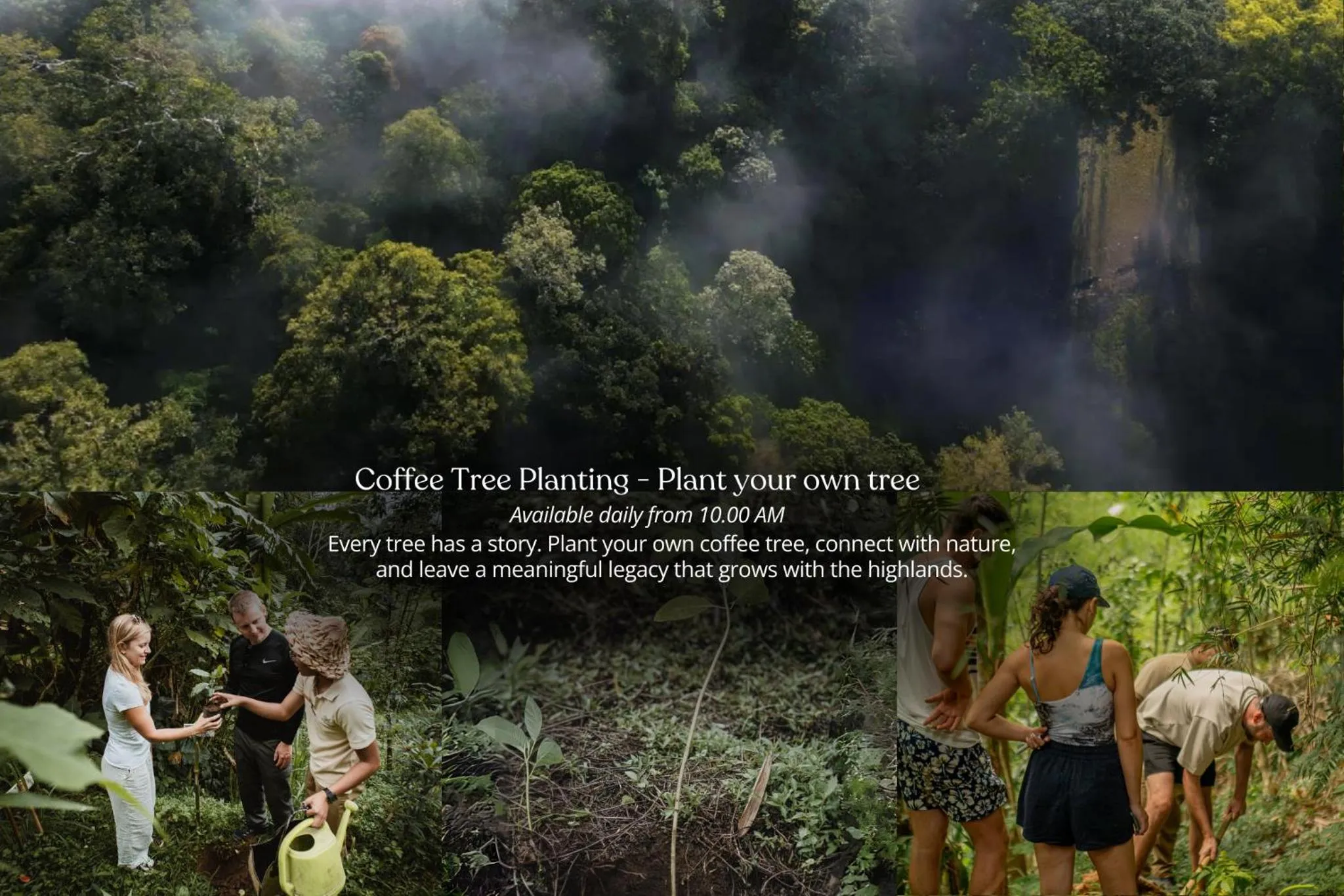 Activities in Munduk Moding Plantation Nature Resort