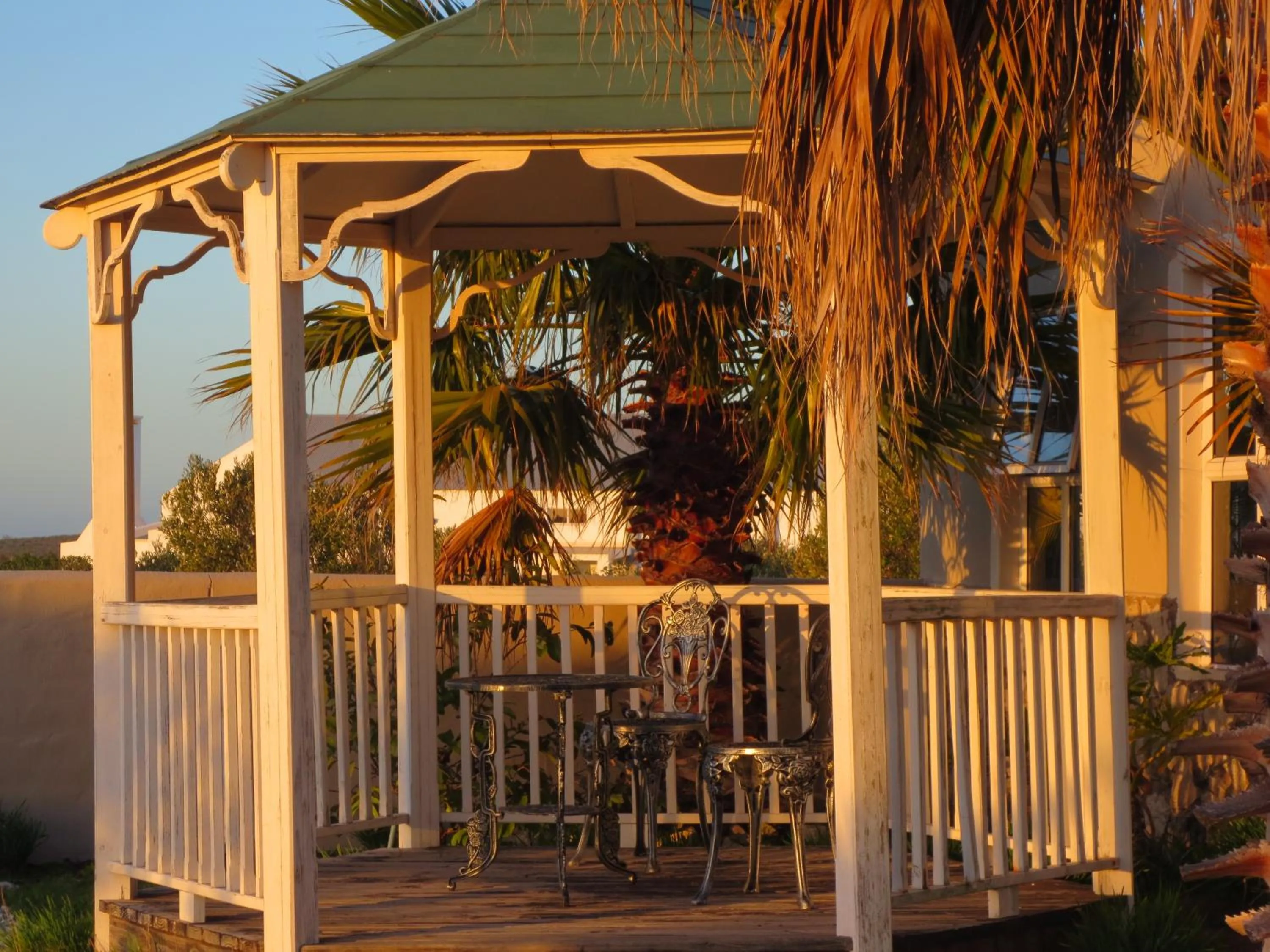 Garden in Masada Guest House