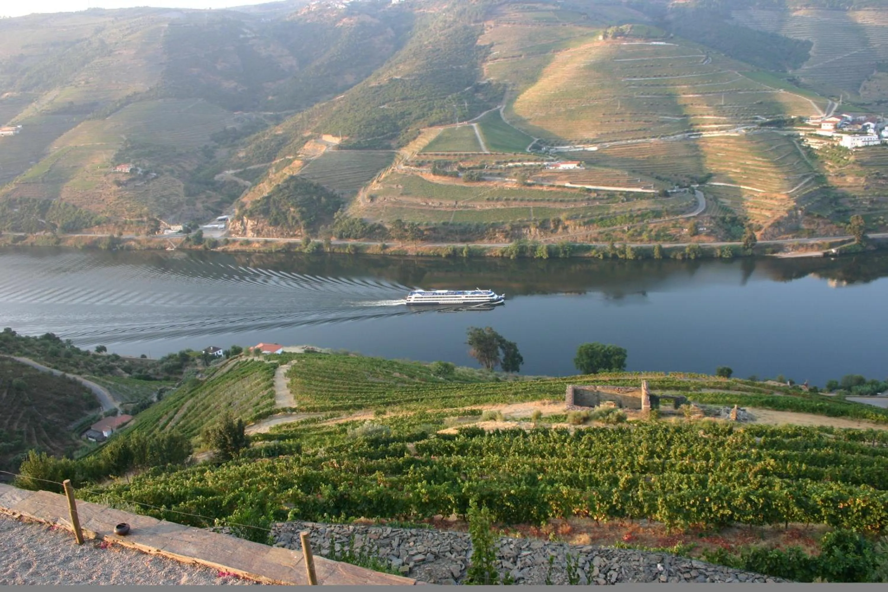 View (from property/room) in Quinta da Veiga
