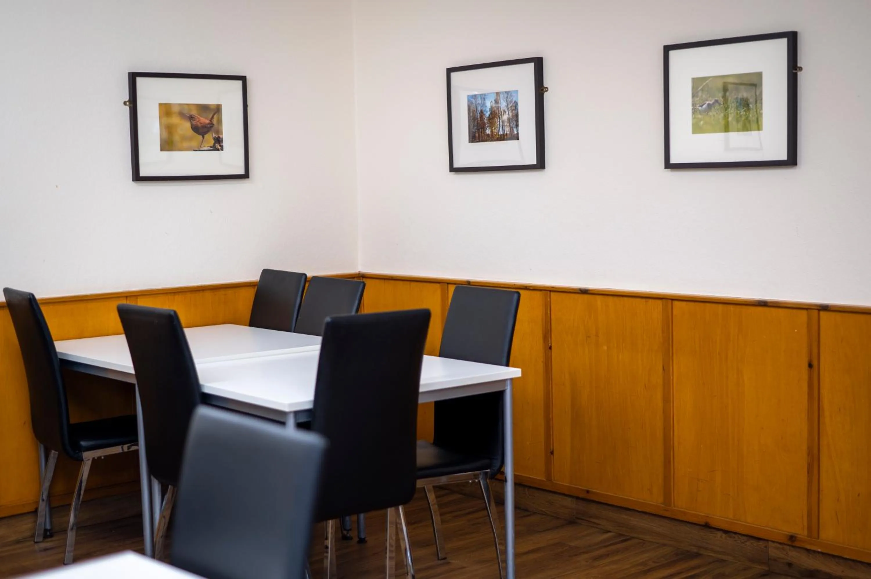 Diving in Aviemore Youth Hostel