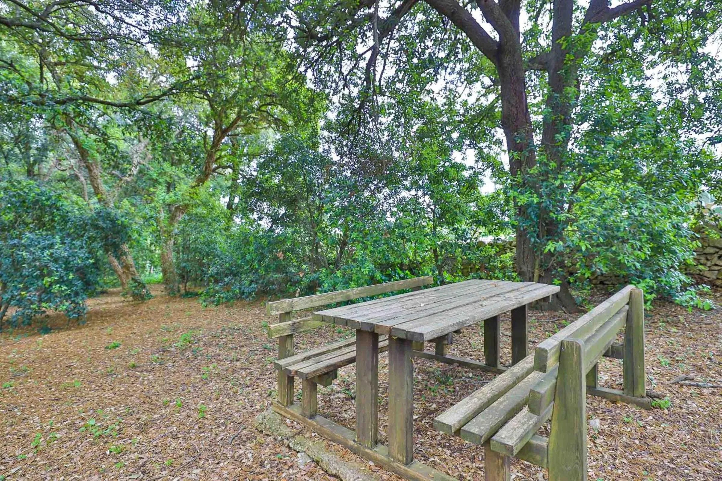 Masseria Casina Vitale