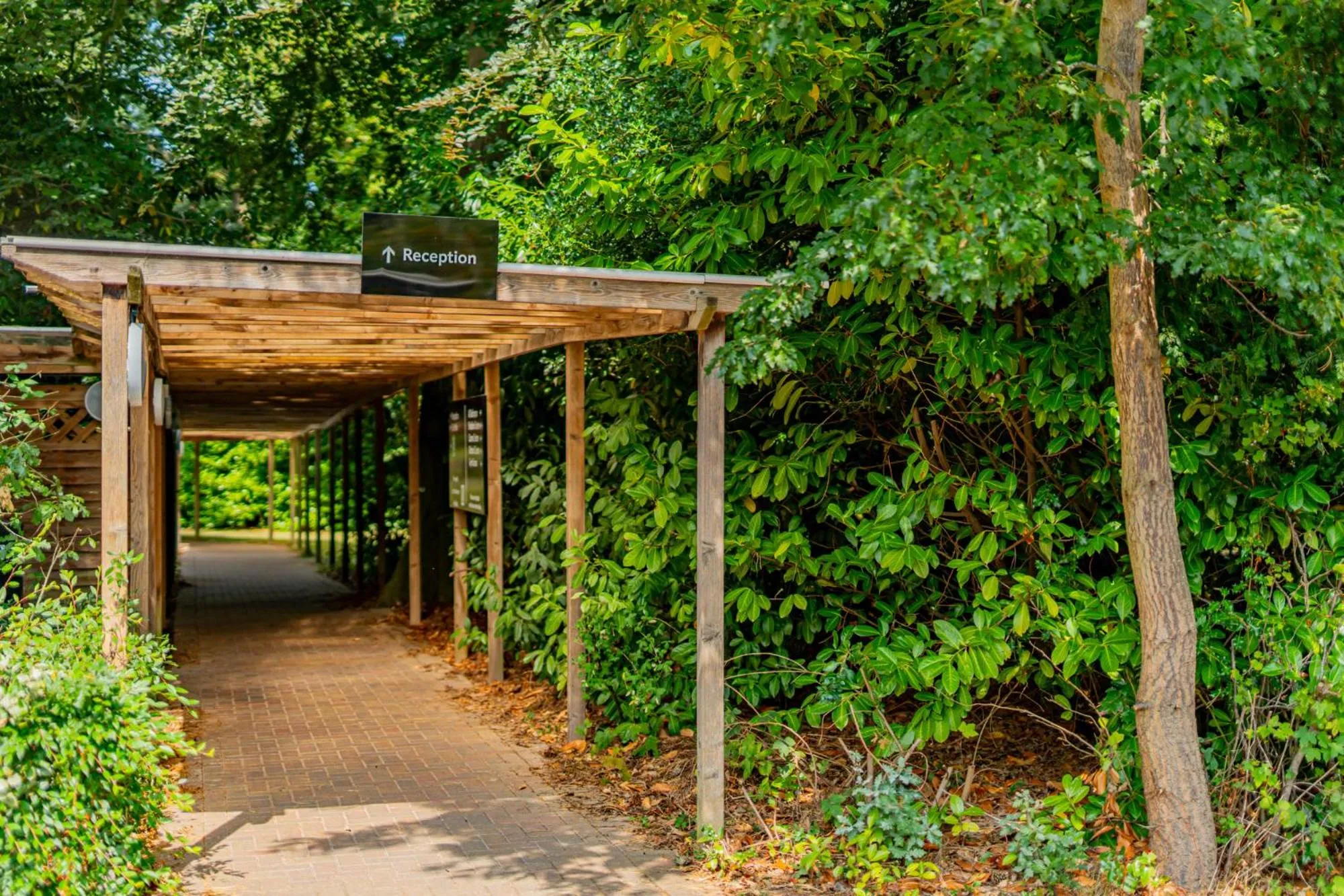 Garden in Ashorne Hill Leamington Spa