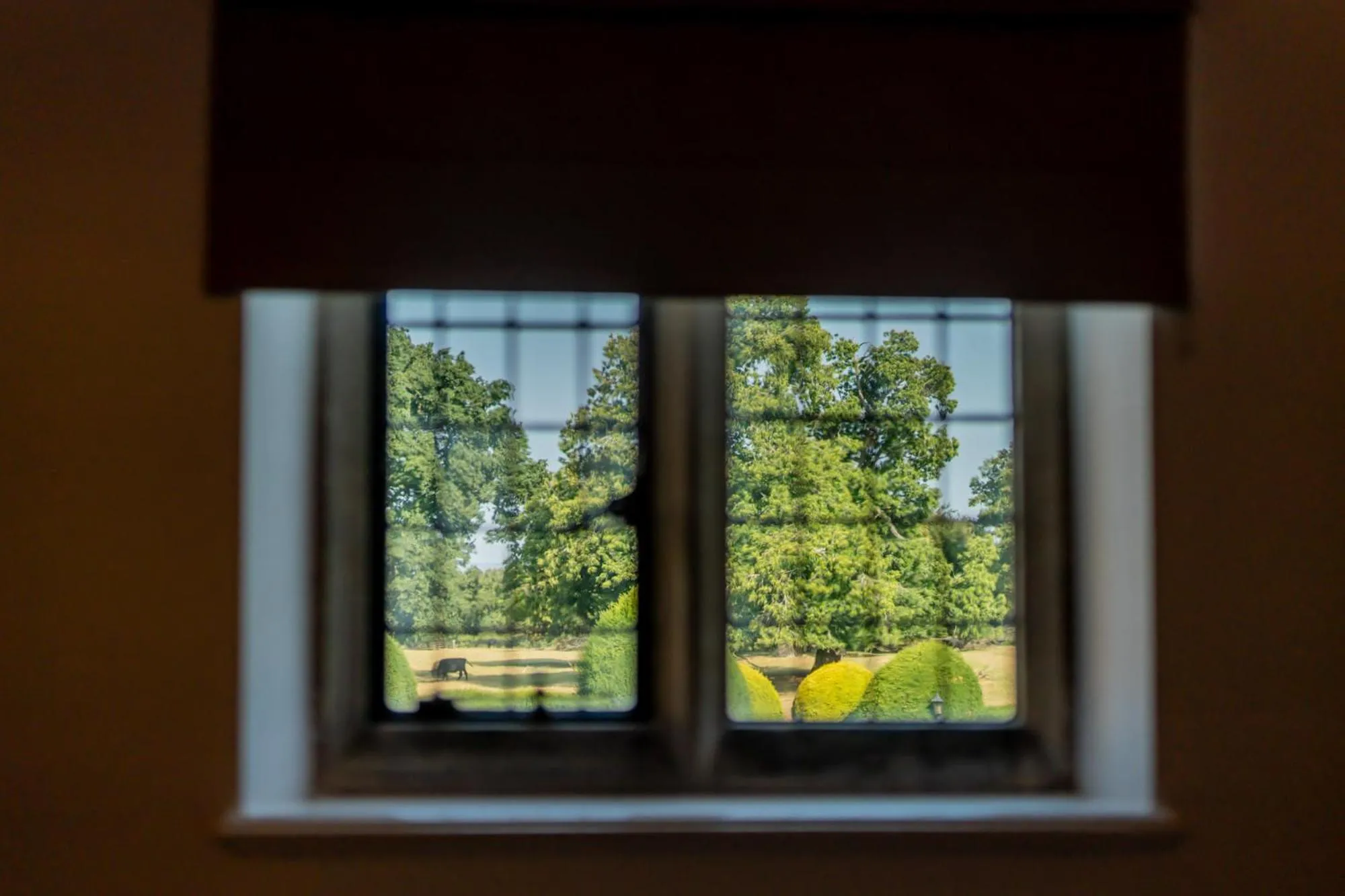 View (from property/room) in Ashorne Hill Leamington Spa