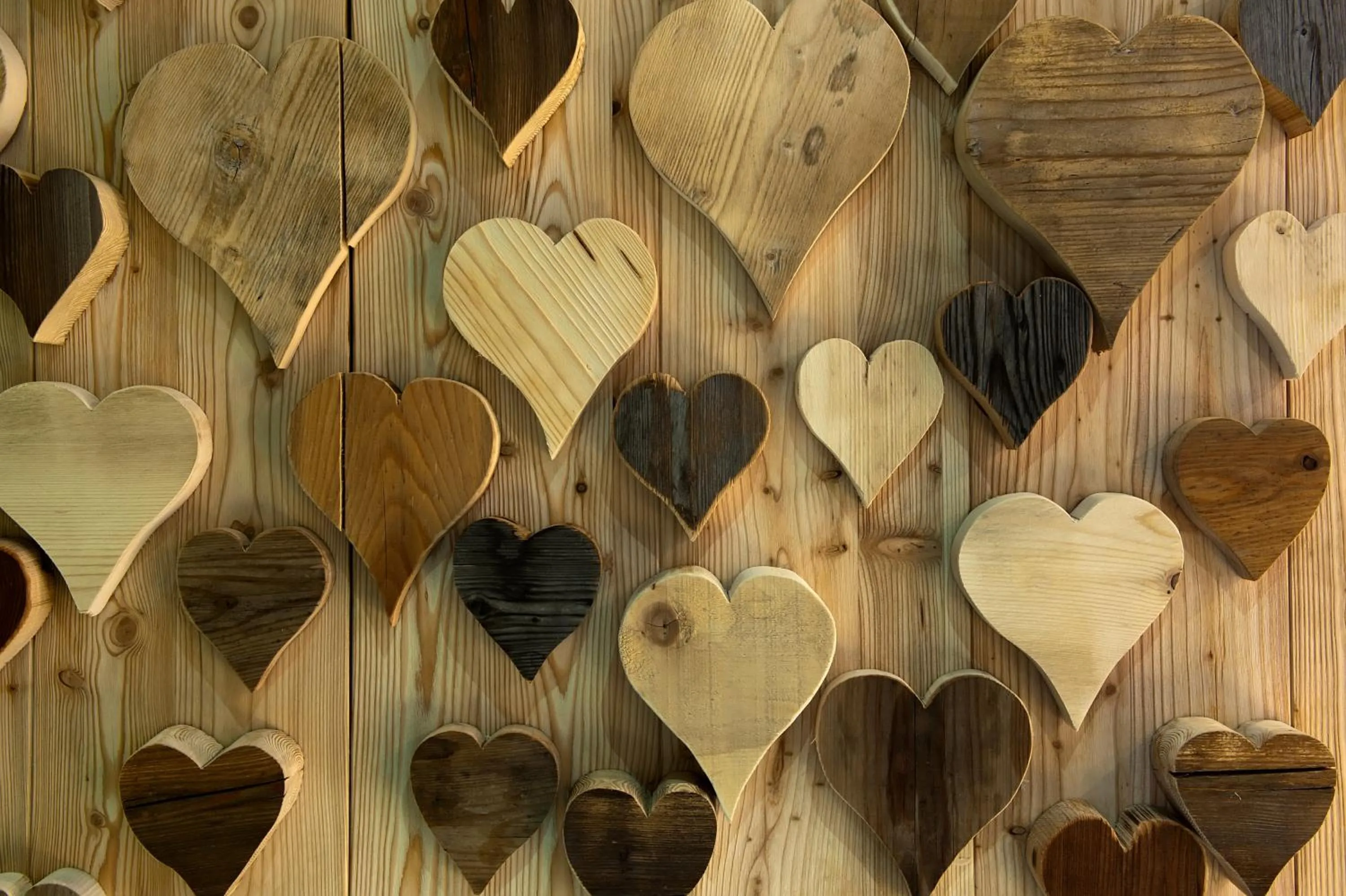 Spa and wellness centre/facilities in Hotel La Serenella