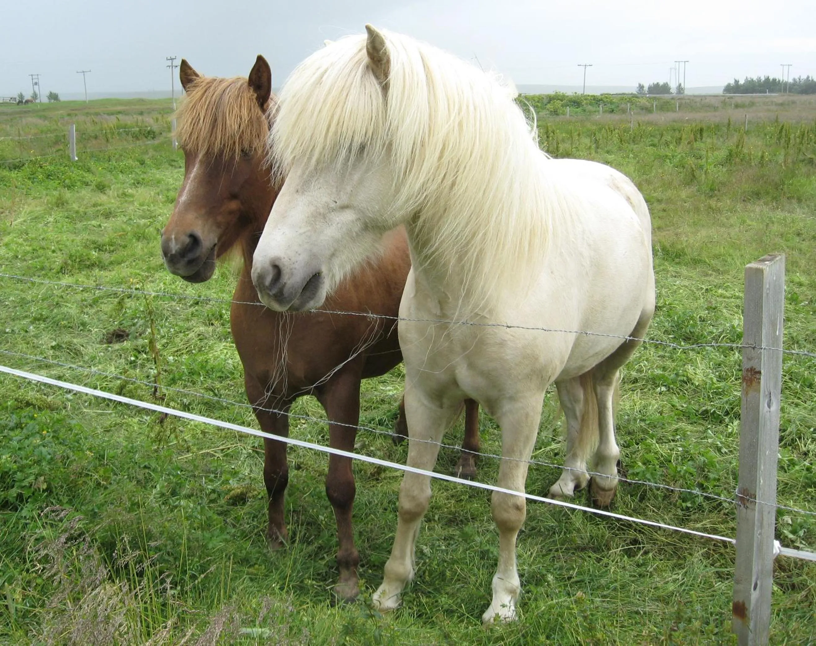 Day in Lambastadir Guesthouse