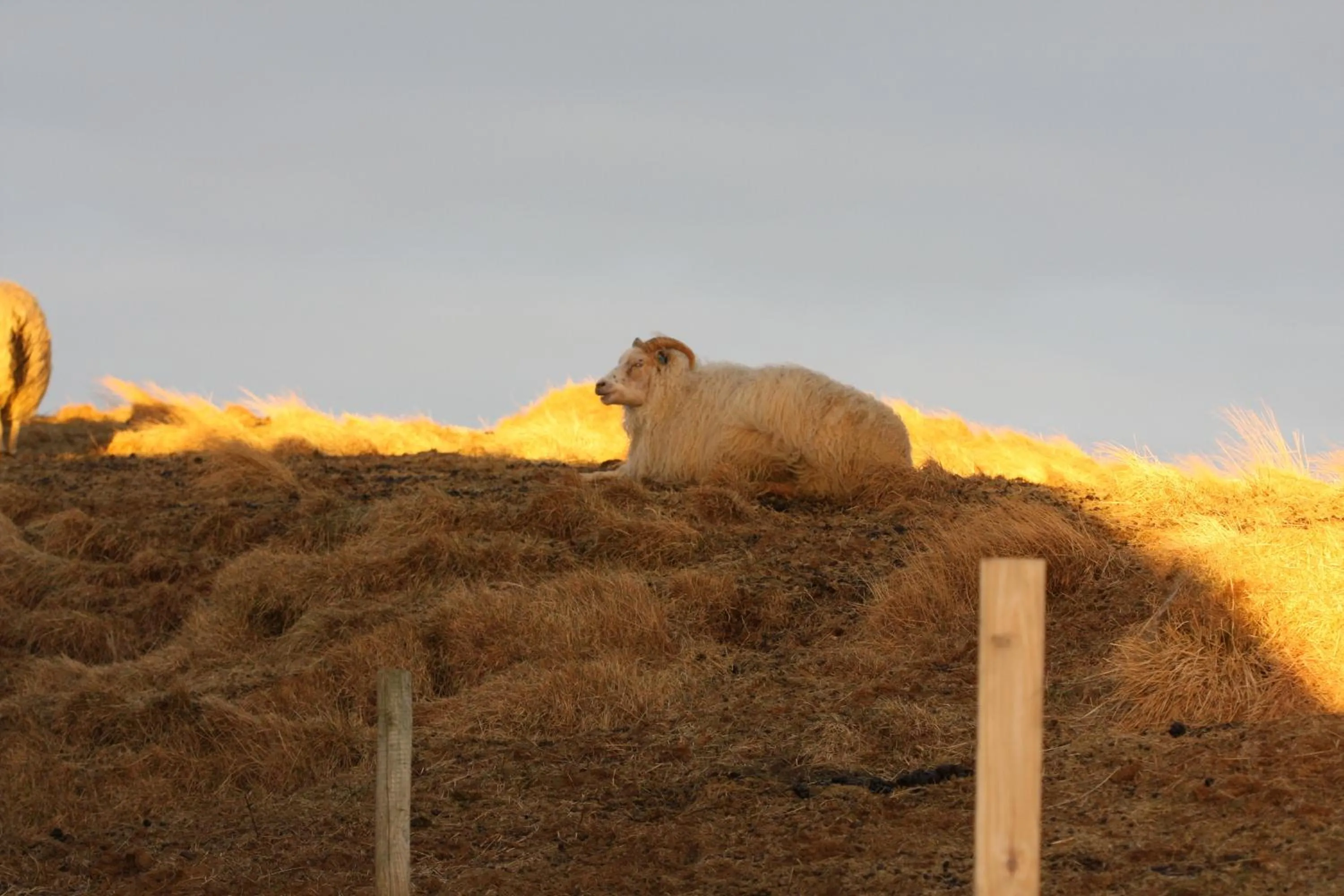 Day in Lambastadir Guesthouse