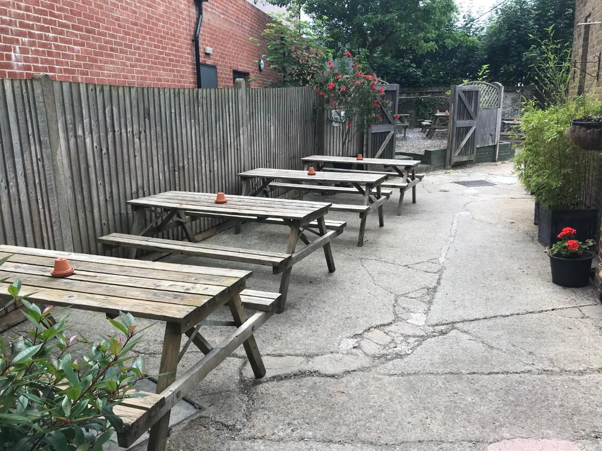 Garden in The Long Room Hotel and Bar