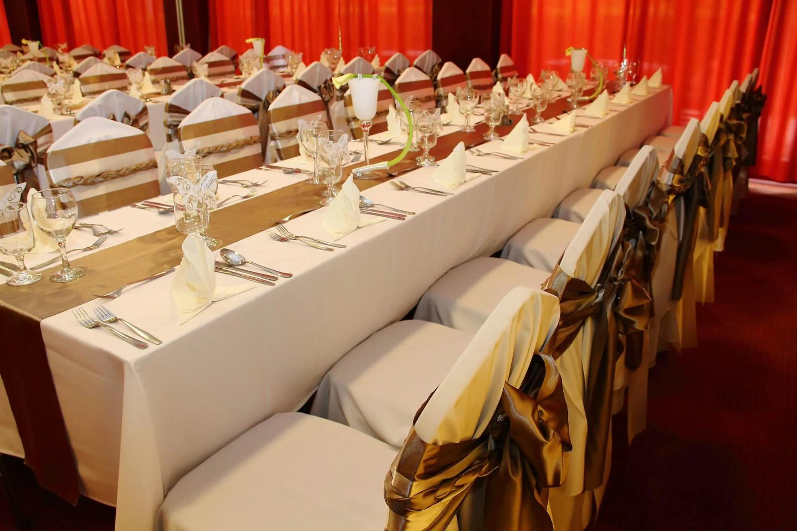 Banquet/Function facilities in Csipke Hotel