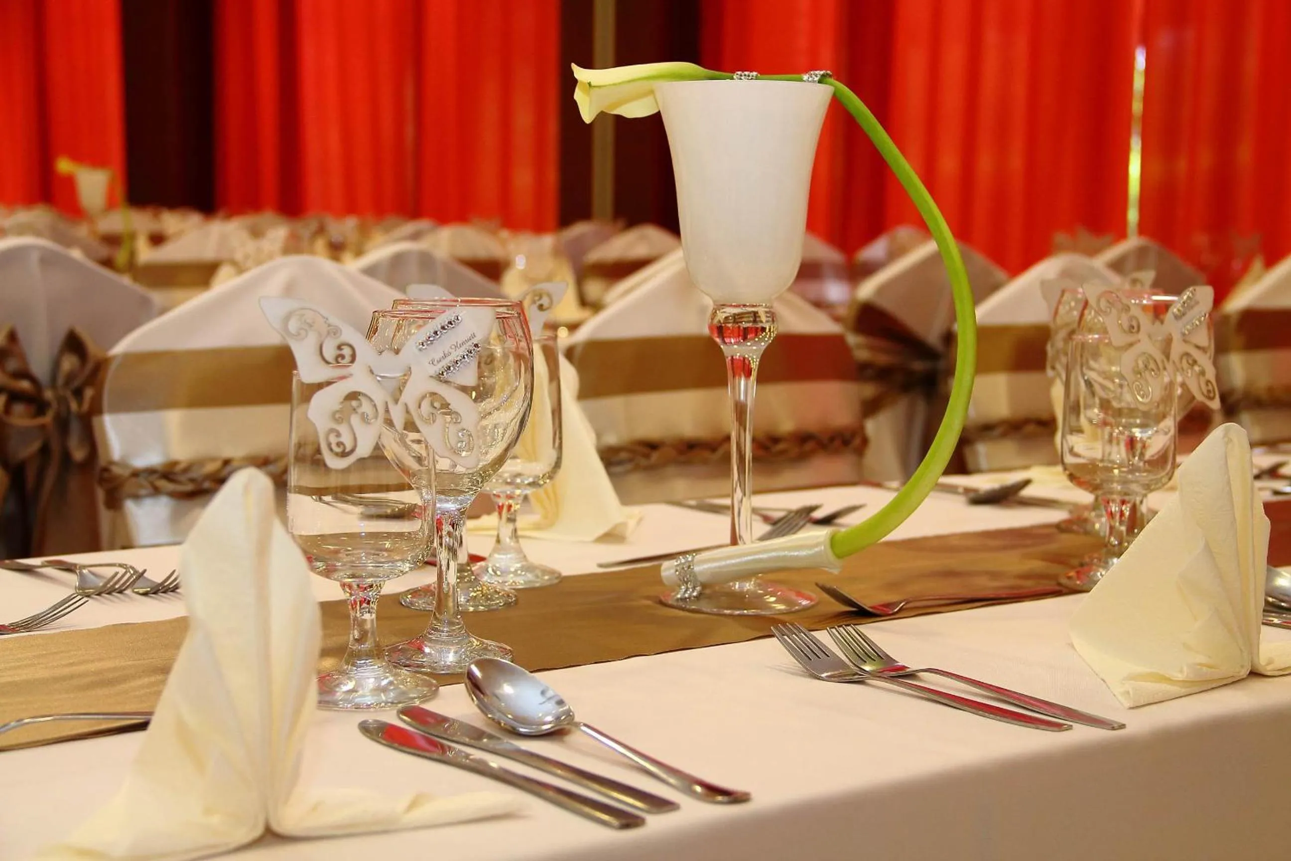 Banquet/Function facilities in Csipke Hotel