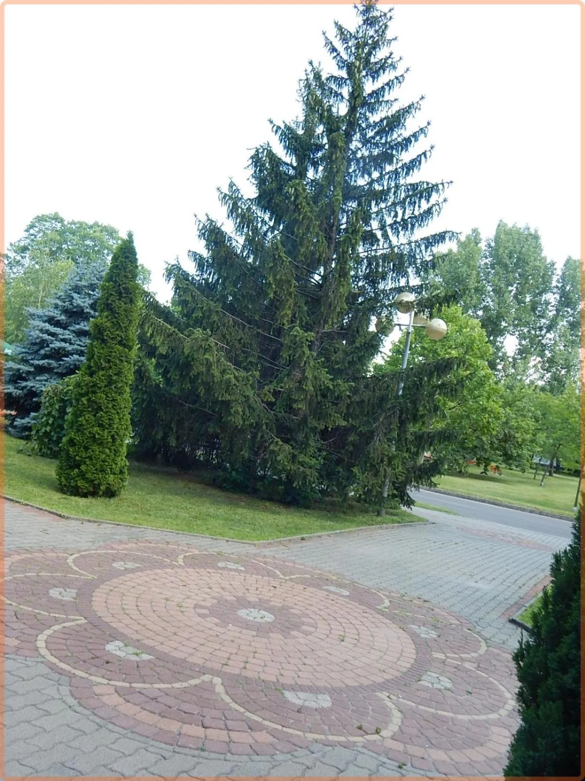 Garden view in Csipke Hotel