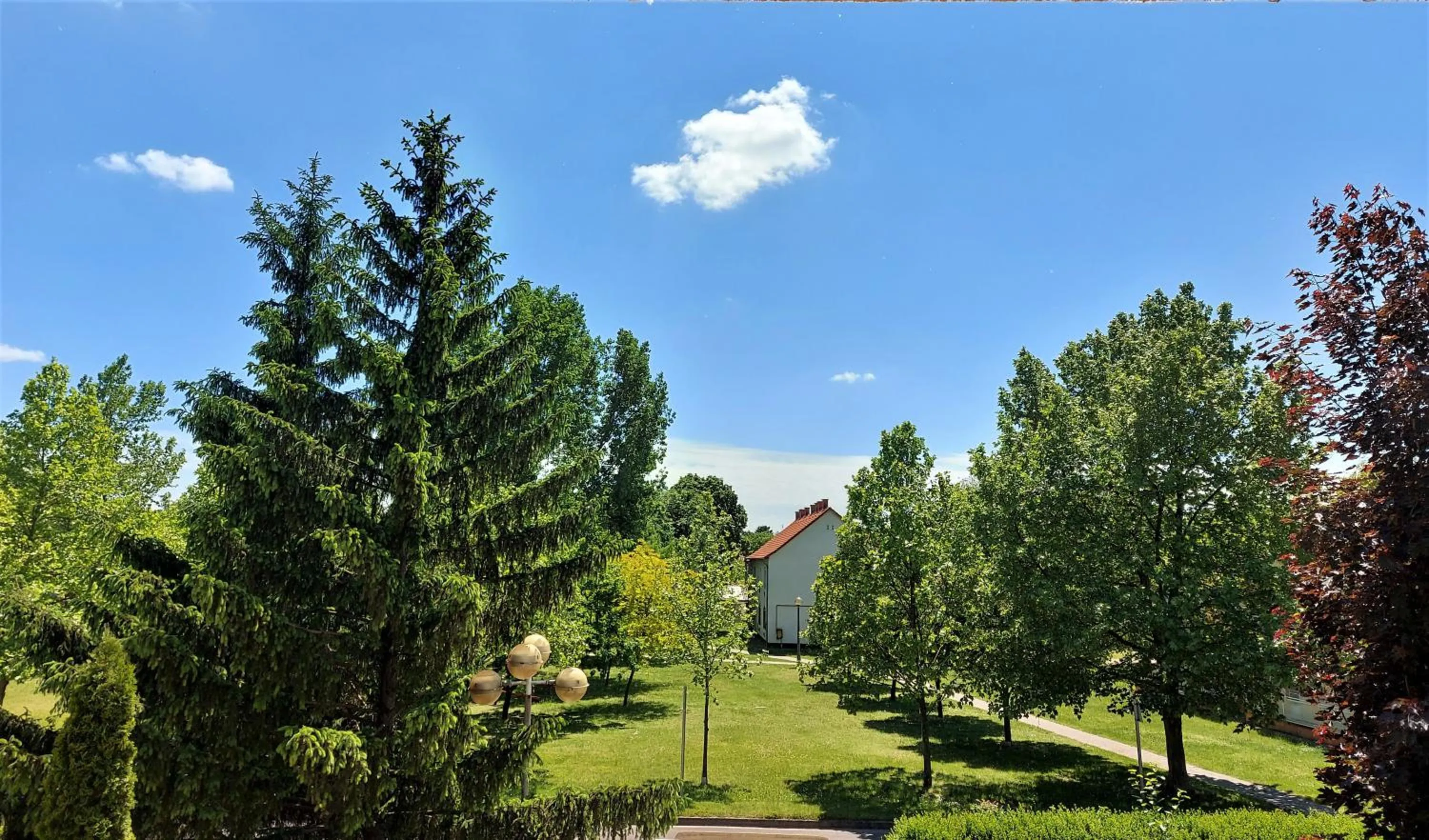 Spring in Csipke Hotel