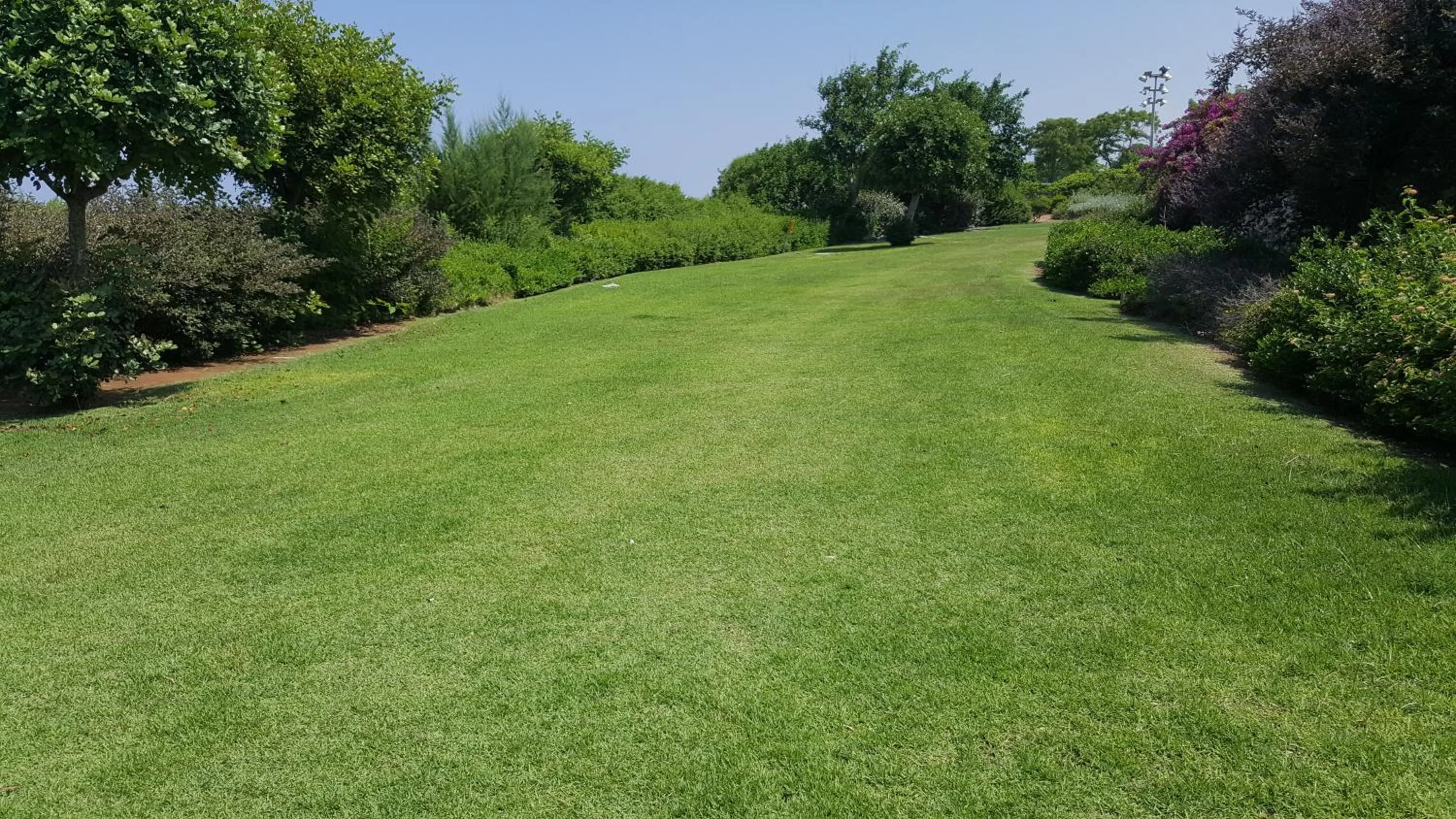 Natural landscape in Neot Golf Caesarea Garden Apartment
