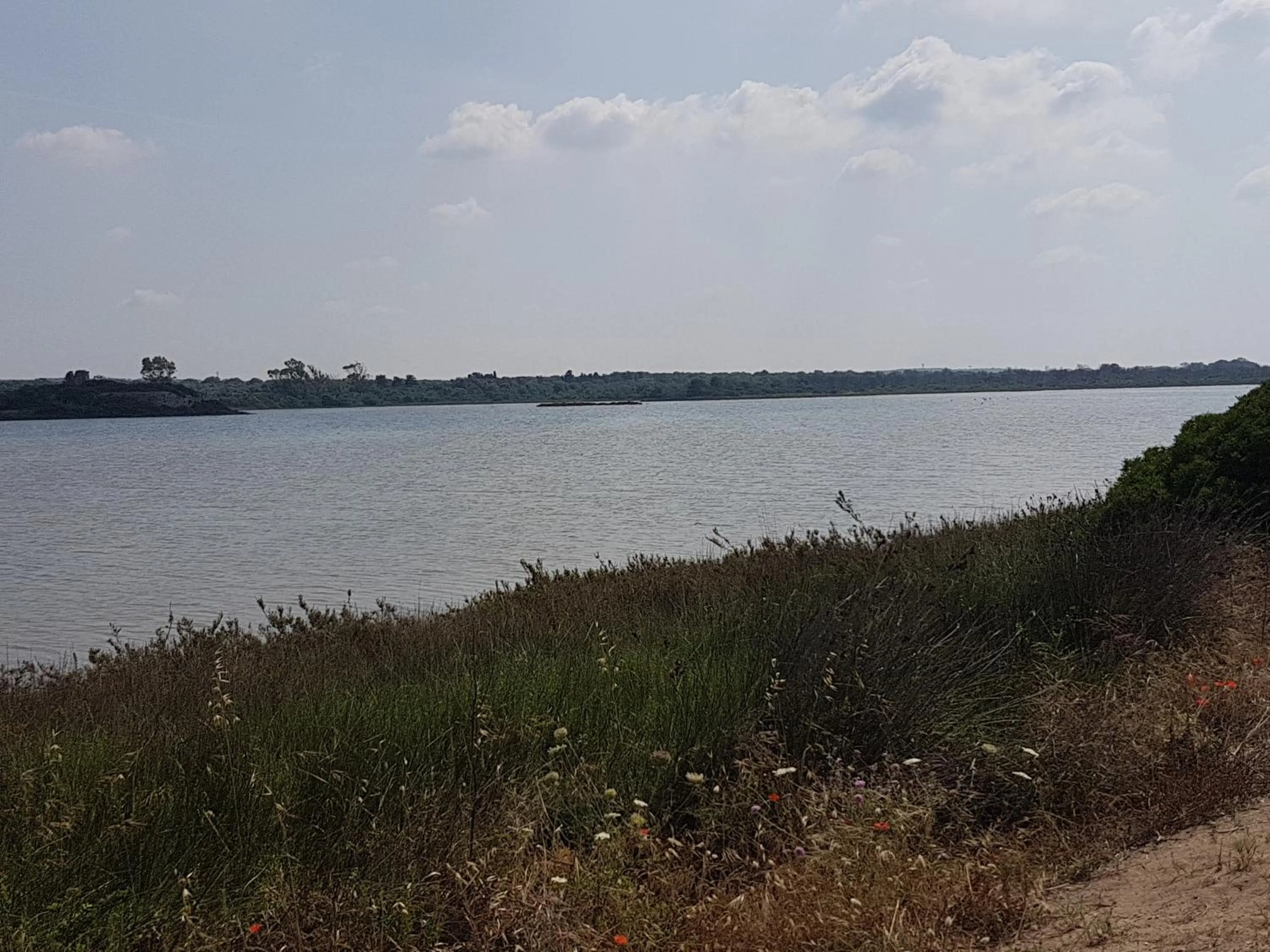 Beach in B&B Miramare