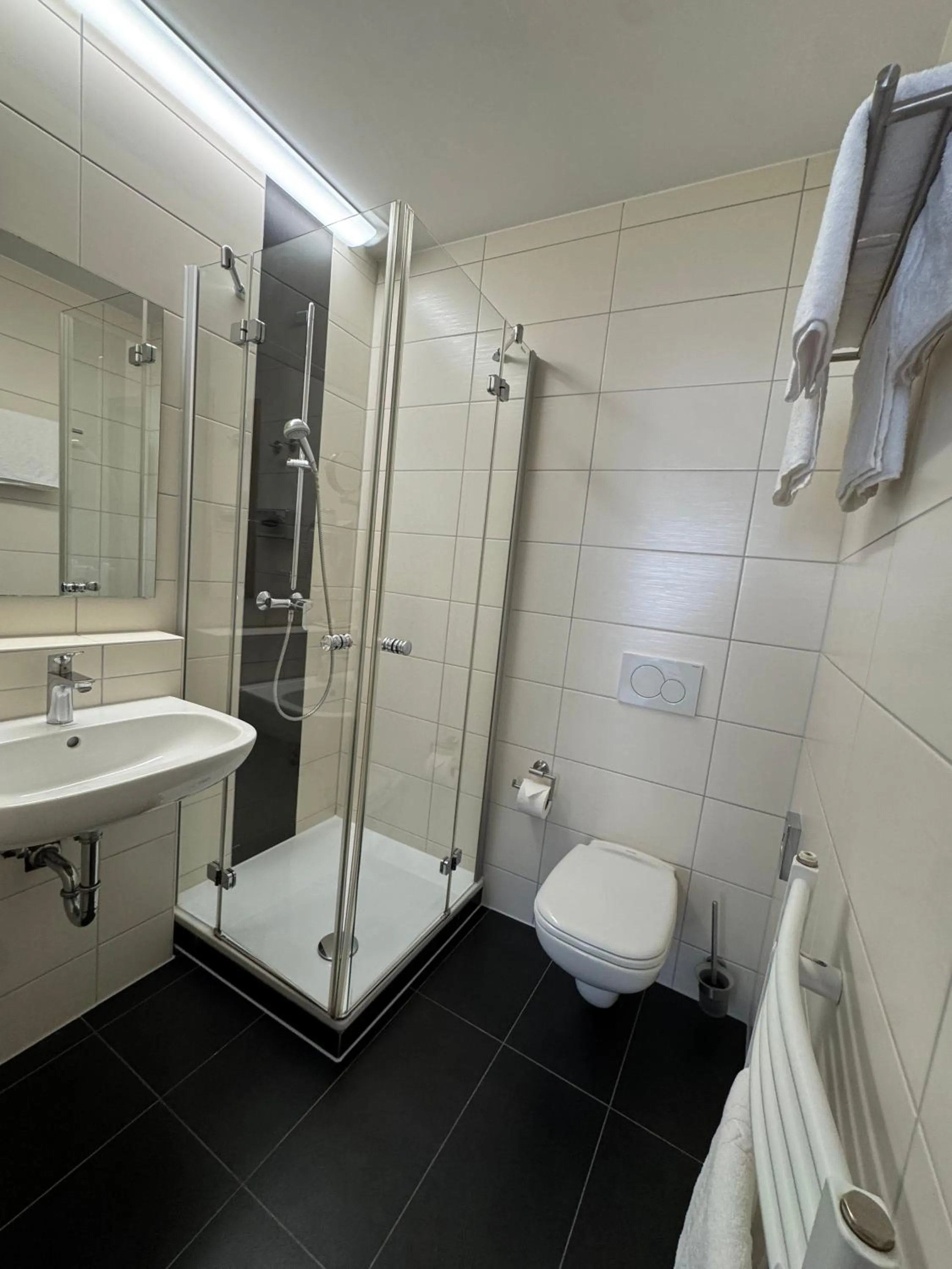 Shower in FLIP Boutique-Hotel near Basel - Modern Stay & Urban Food