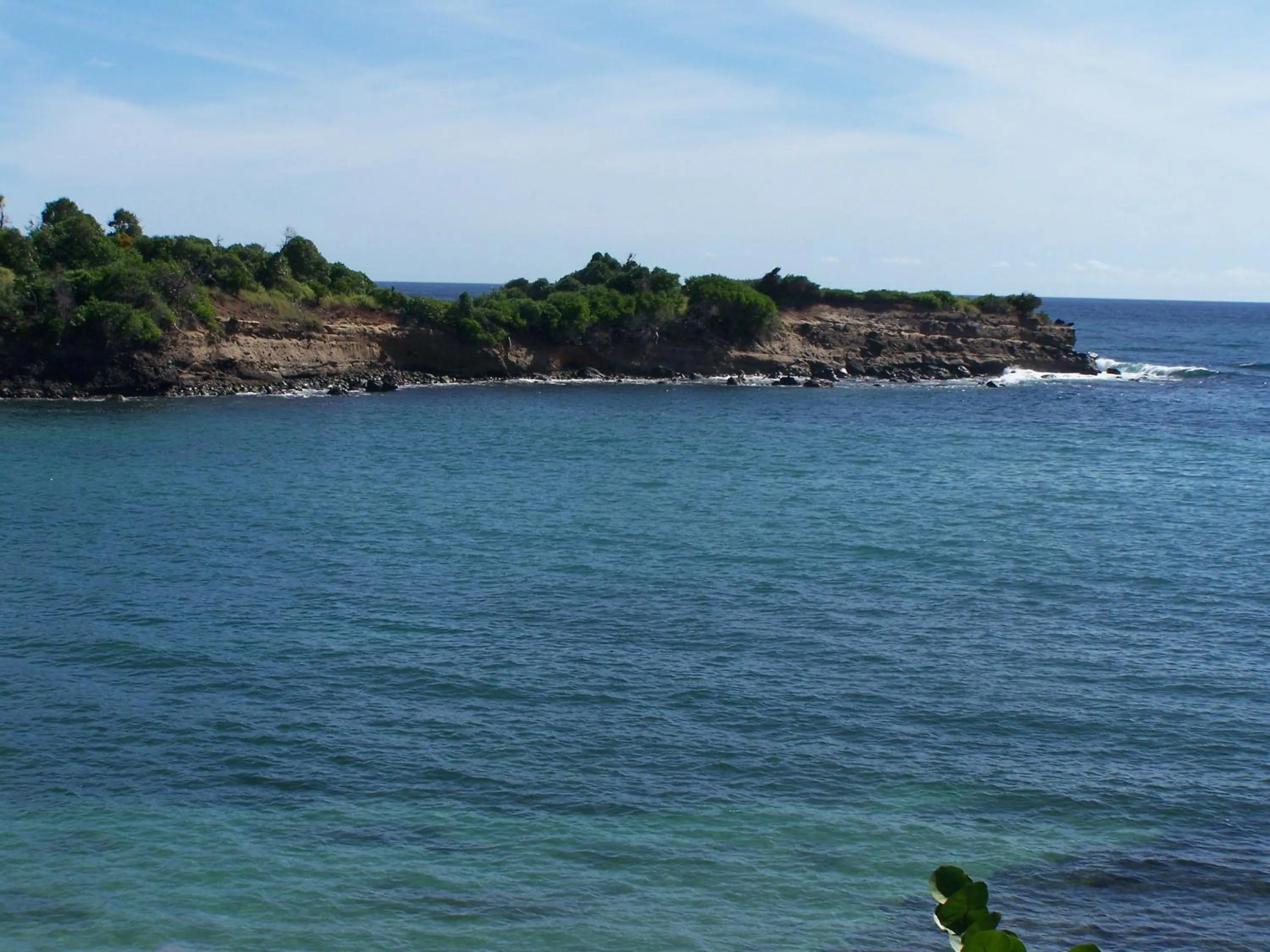 View (from property/room) in Cabier Ocean Lodge