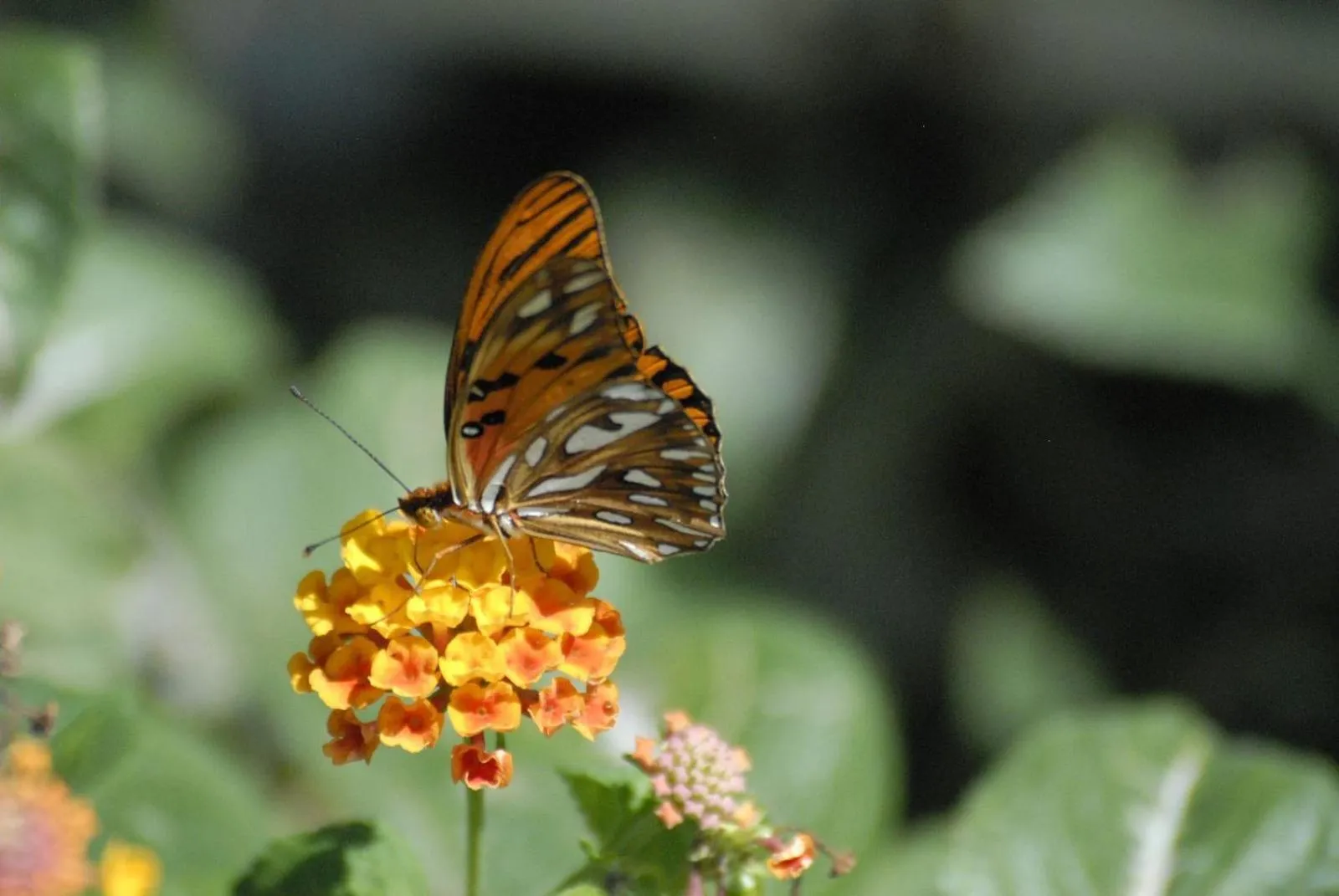 Activities in Cabier Ocean Lodge