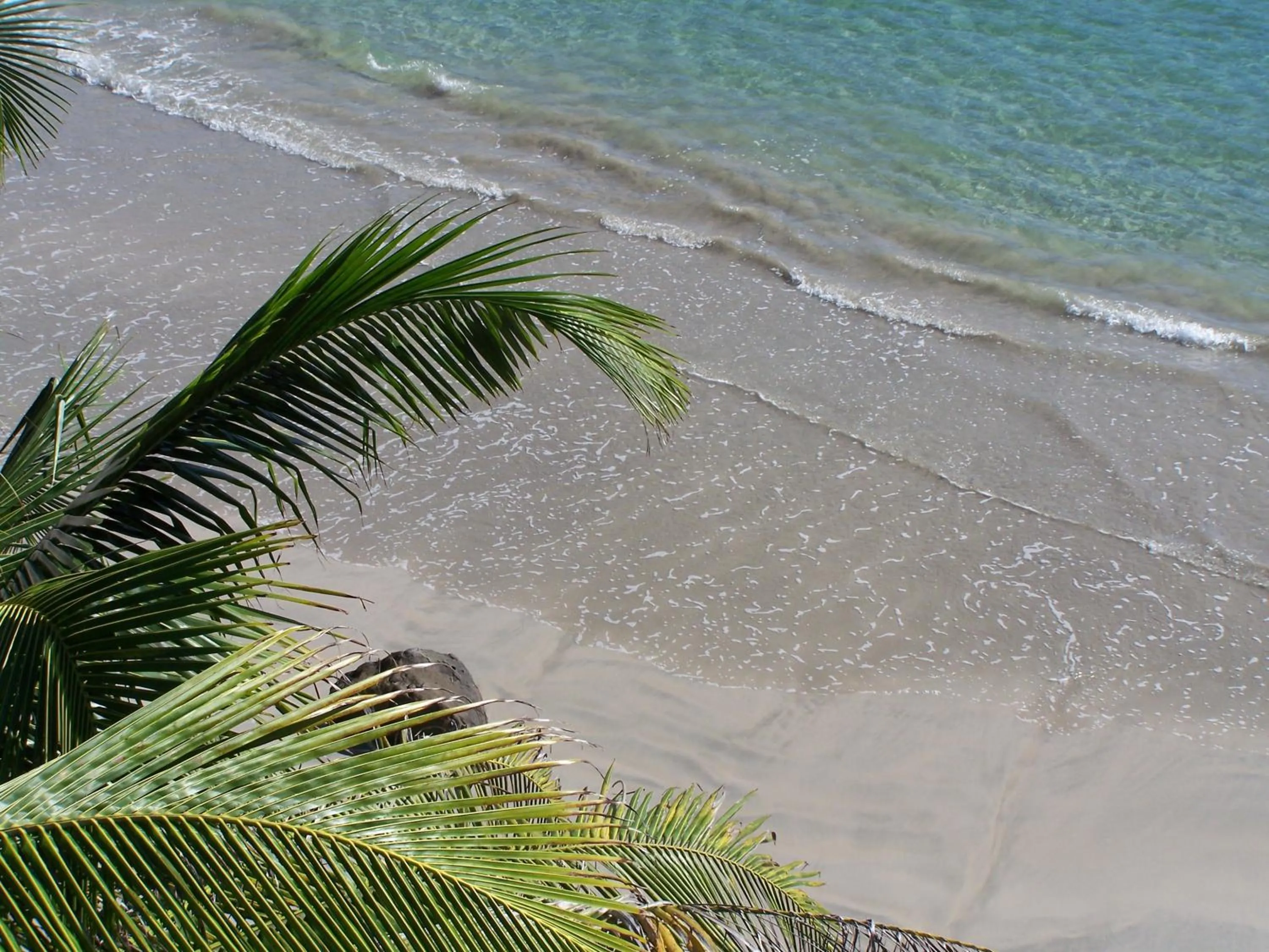 Natural landscape in Cabier Ocean Lodge