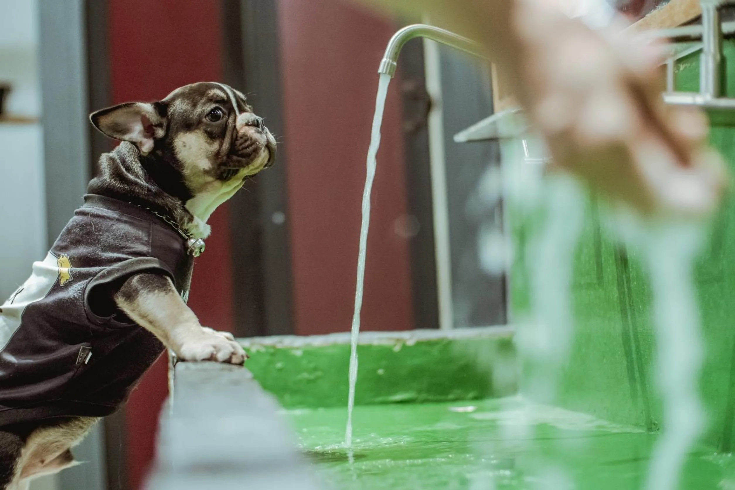 group of guests in Zeds Hostel Bangkok