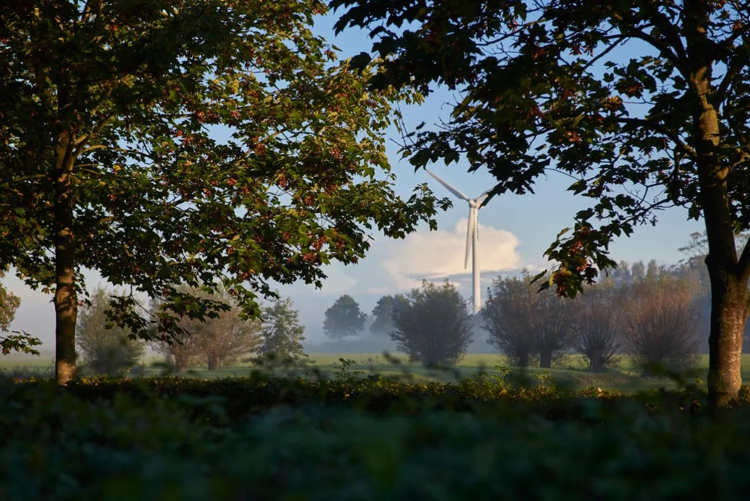 Neighbourhood in Bed and Breakfast Joarum