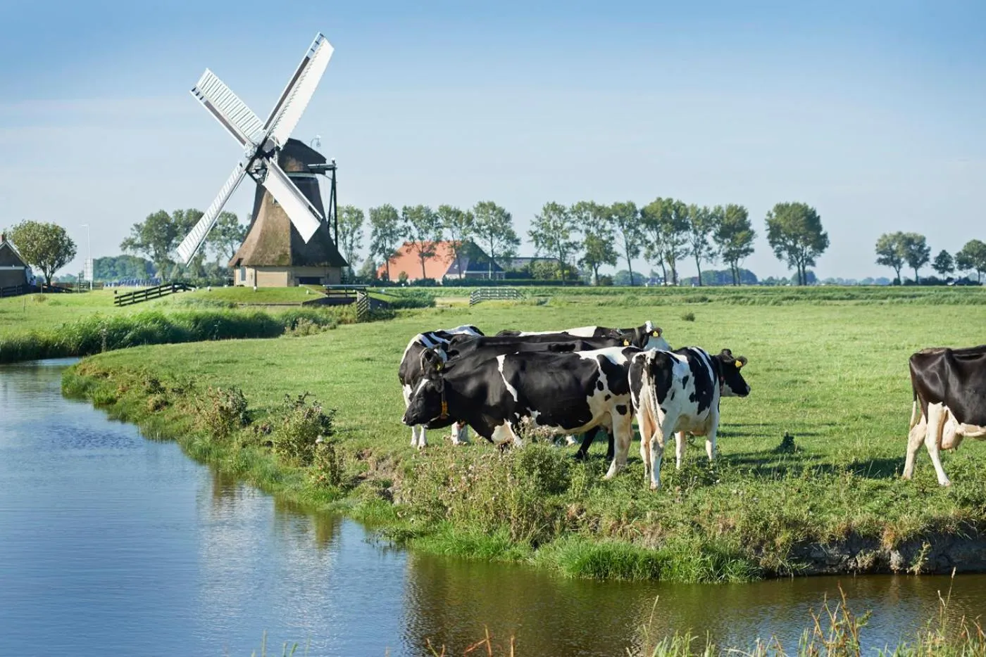 Nearby landmark in Bed and Breakfast Joarum