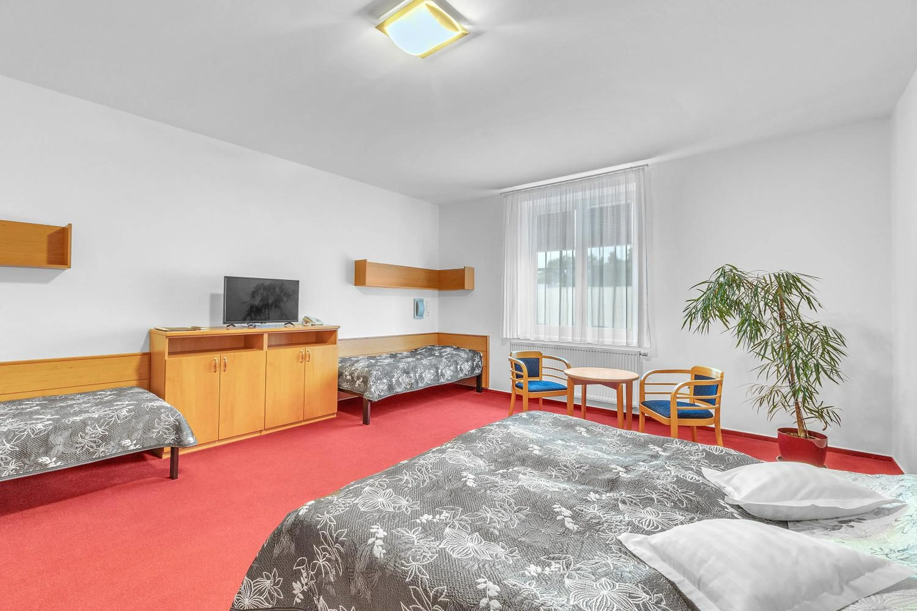 Bed in Hotel Za Vodou