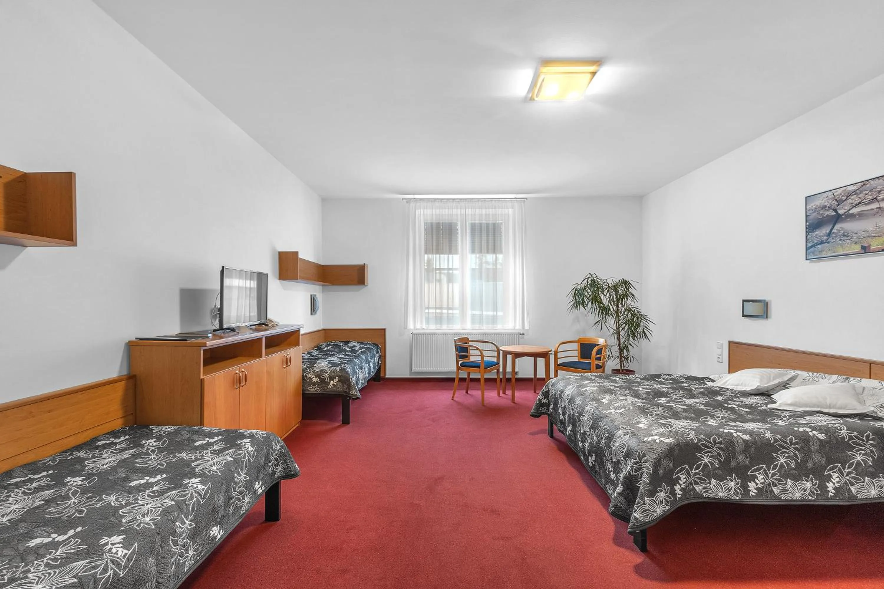 Bed in Hotel Za Vodou