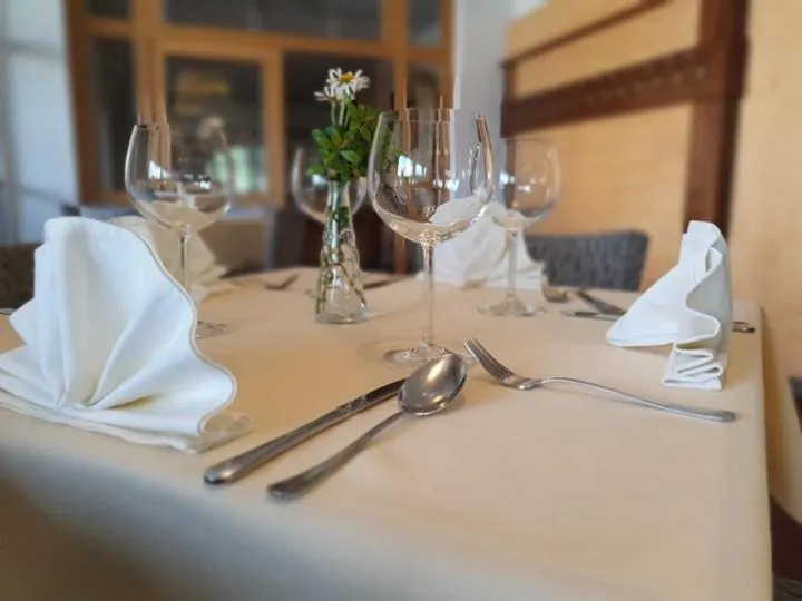 Food and drinks in Hotel Za Vodou