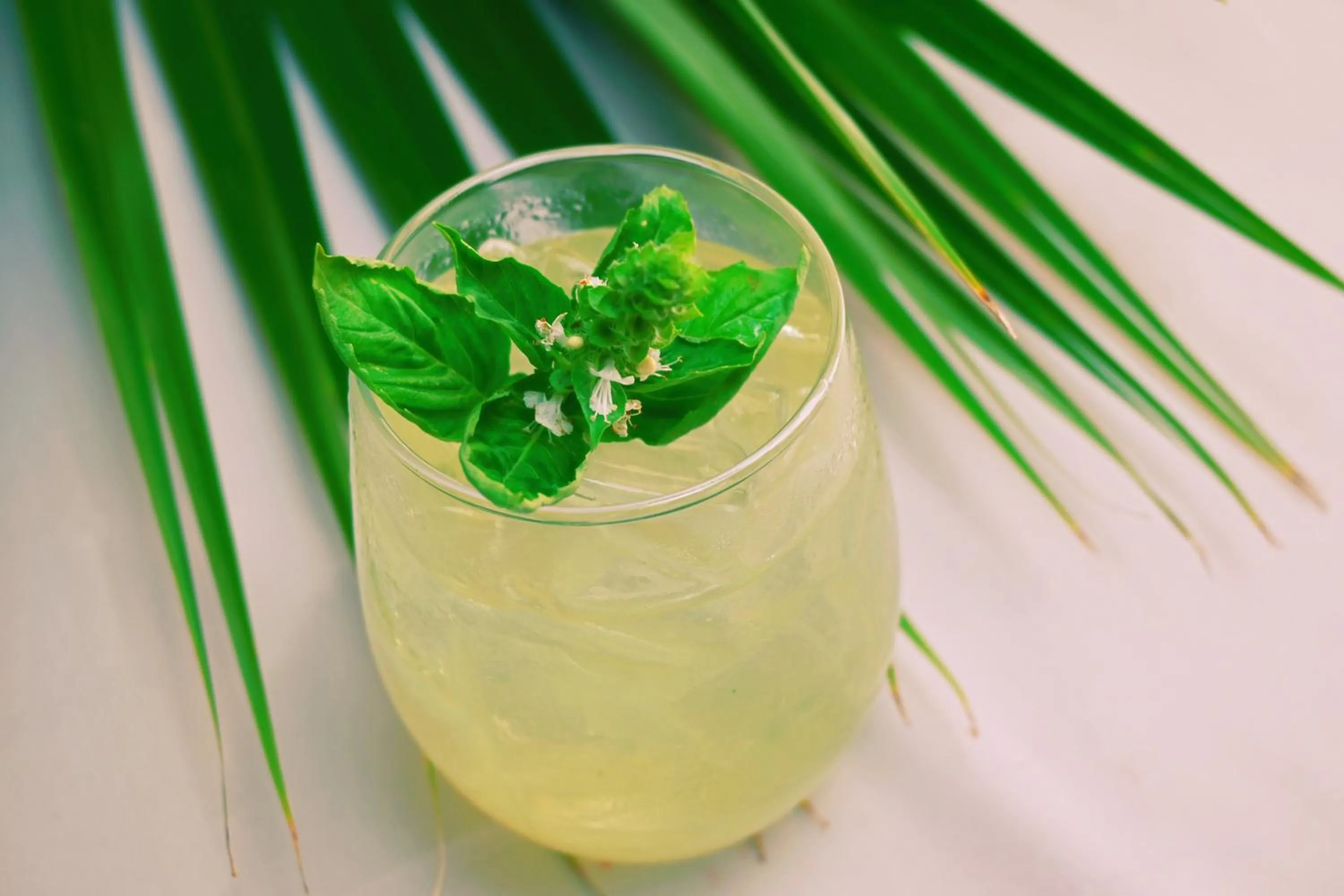 Food and drinks in Mount Cinnamon Beach & Wellness Resort