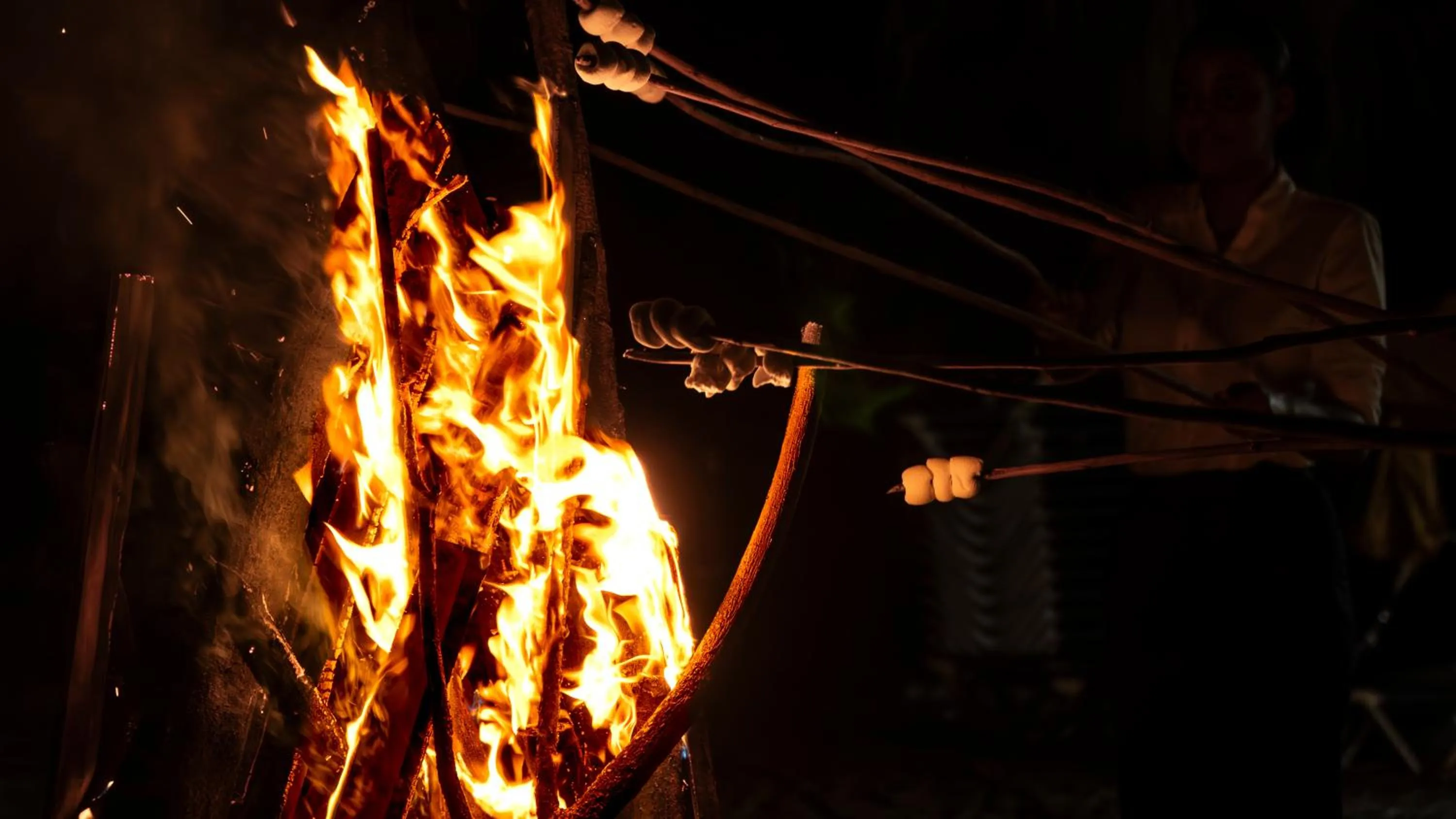 Evening entertainment in Mount Cinnamon Beach & Wellness Resort