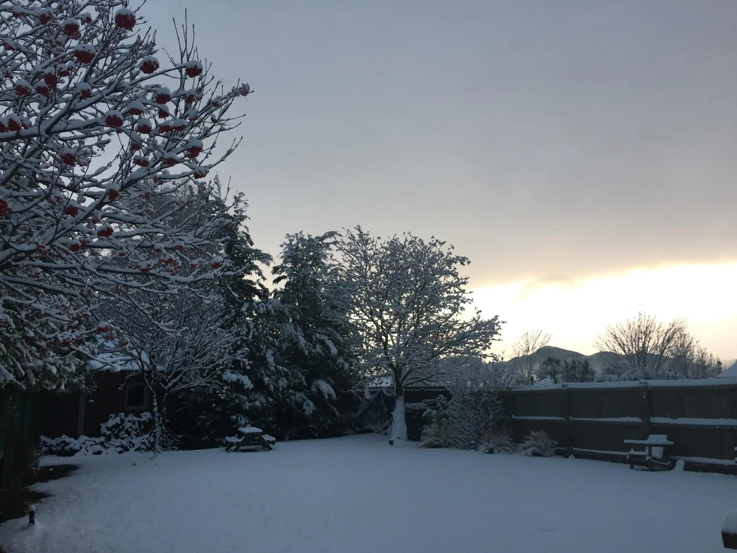 Garden view in Queenstown Top 10 Holiday Park