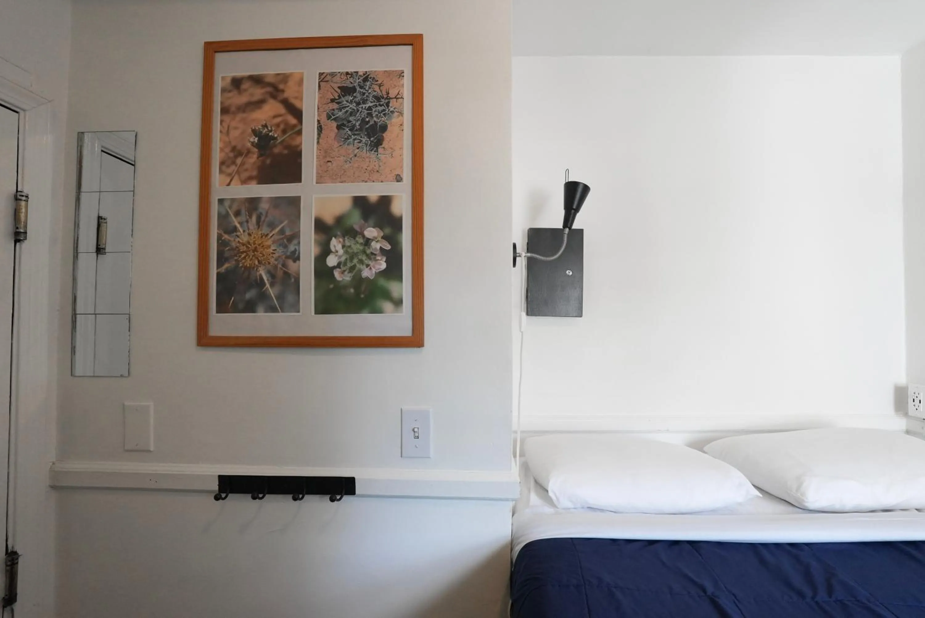 Bed in Ocean Island Inn | Backpackers | Suites