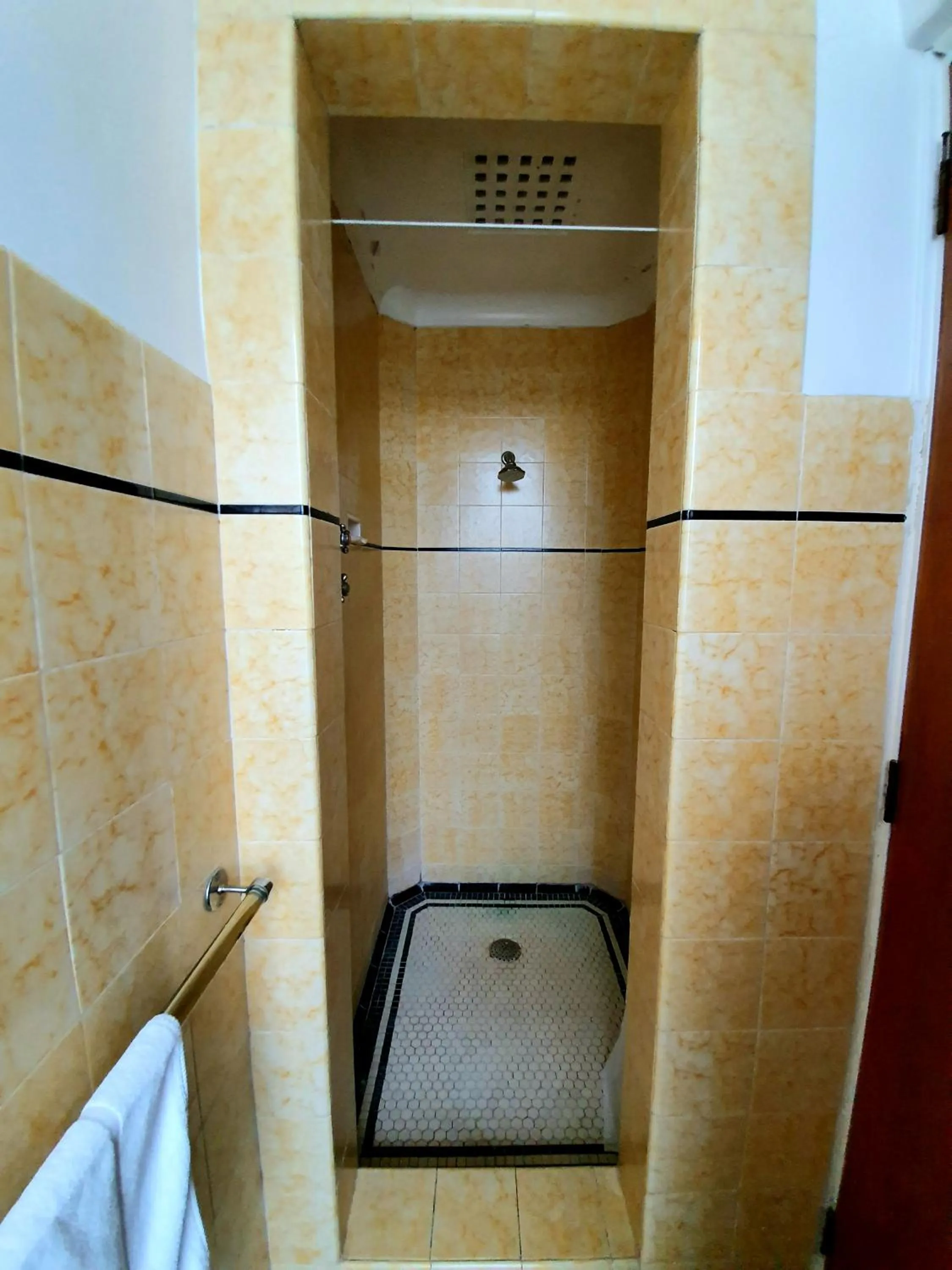 Shower in Putaruru Hotel