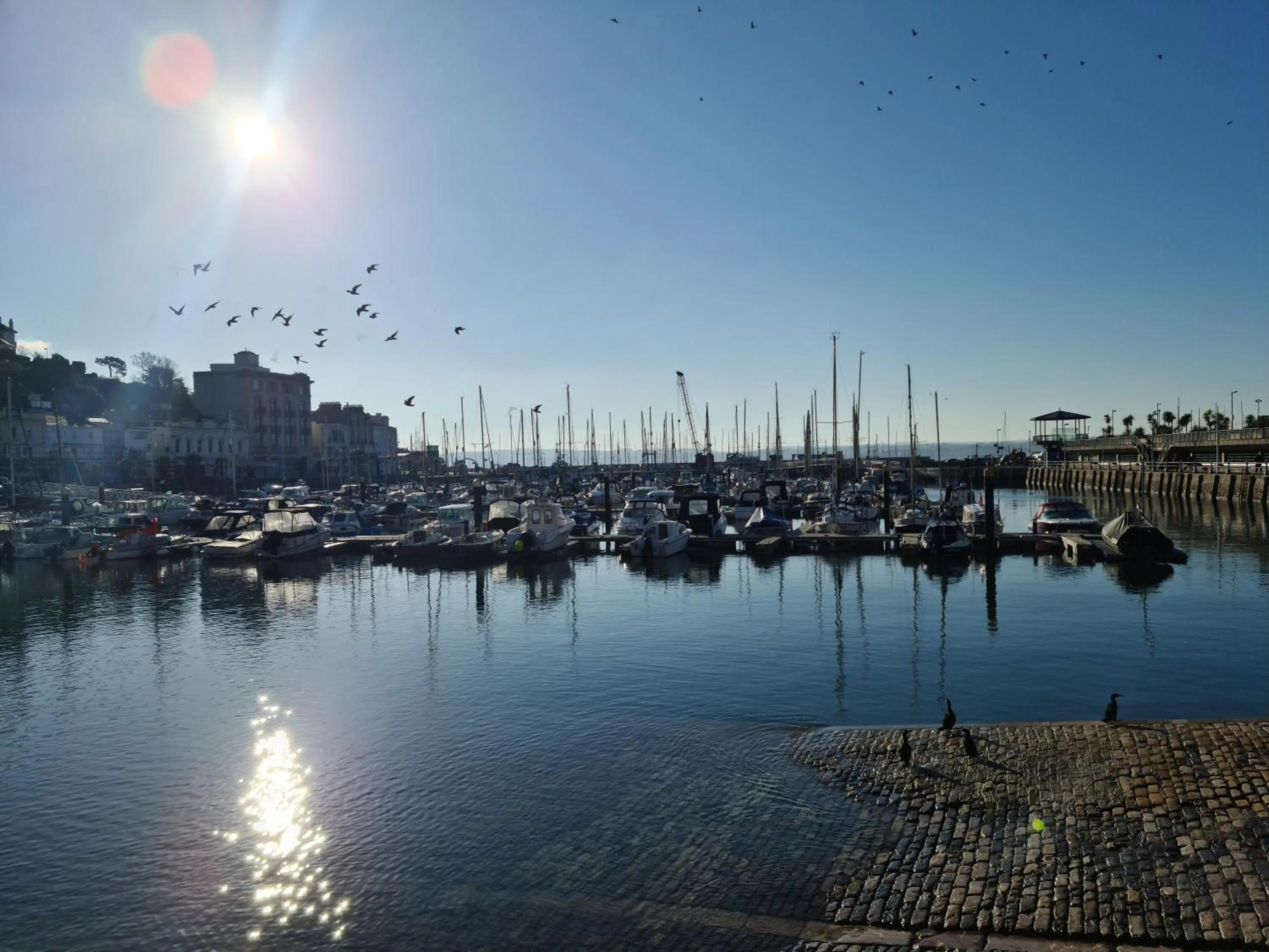 Neighbourhood in The Belmont