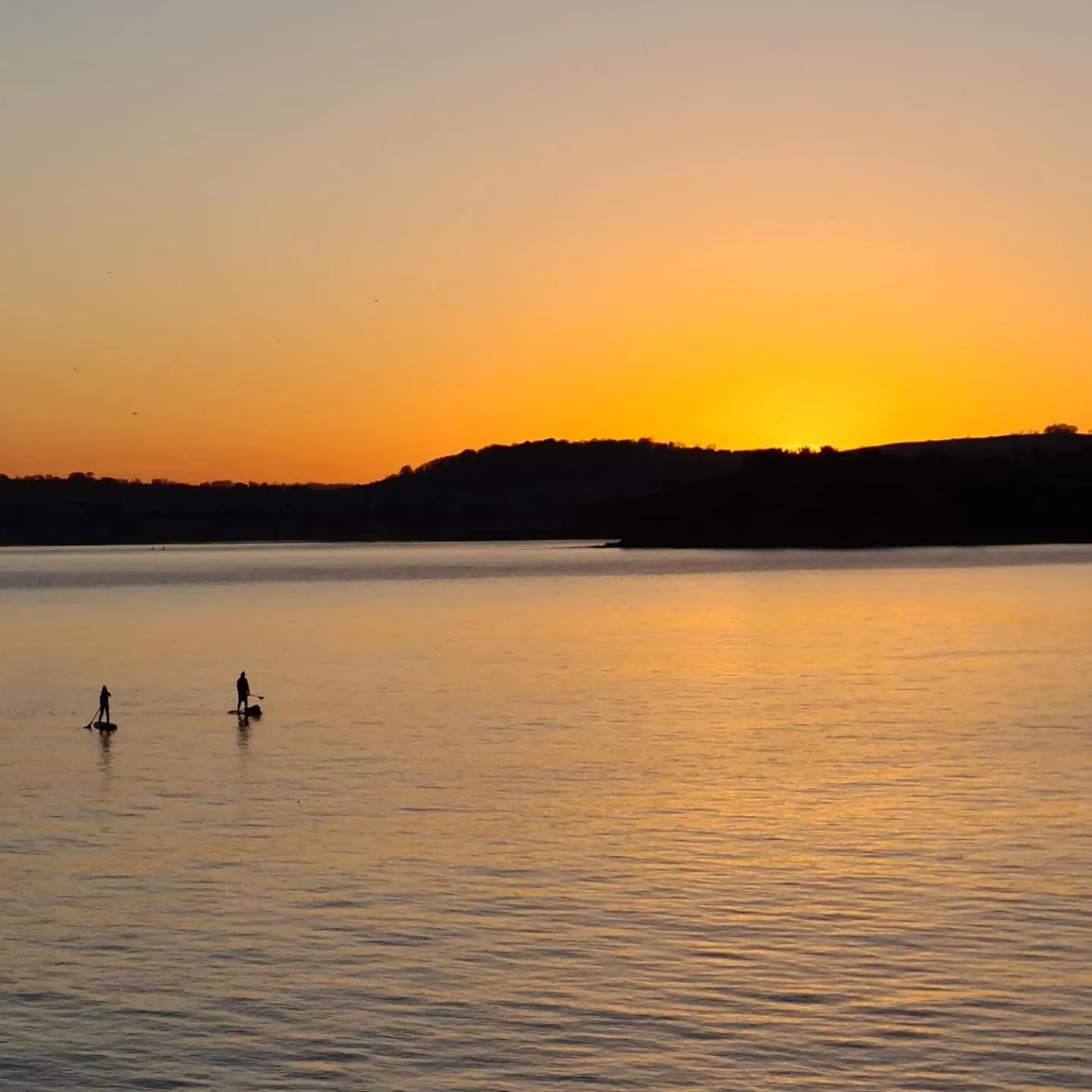 Neighbourhood in The Belmont