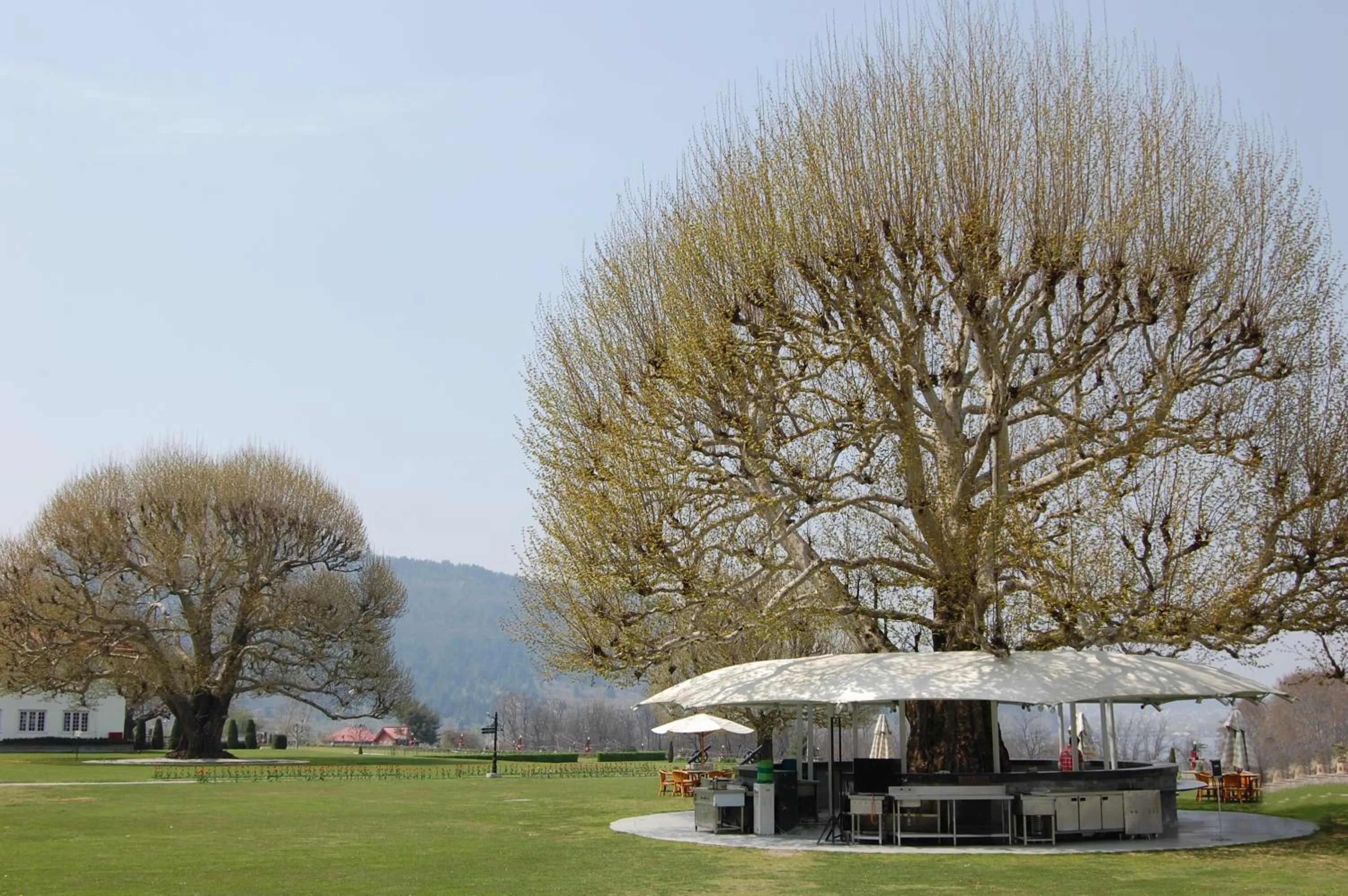Garden in The LaLit Grand Palace Srinagar