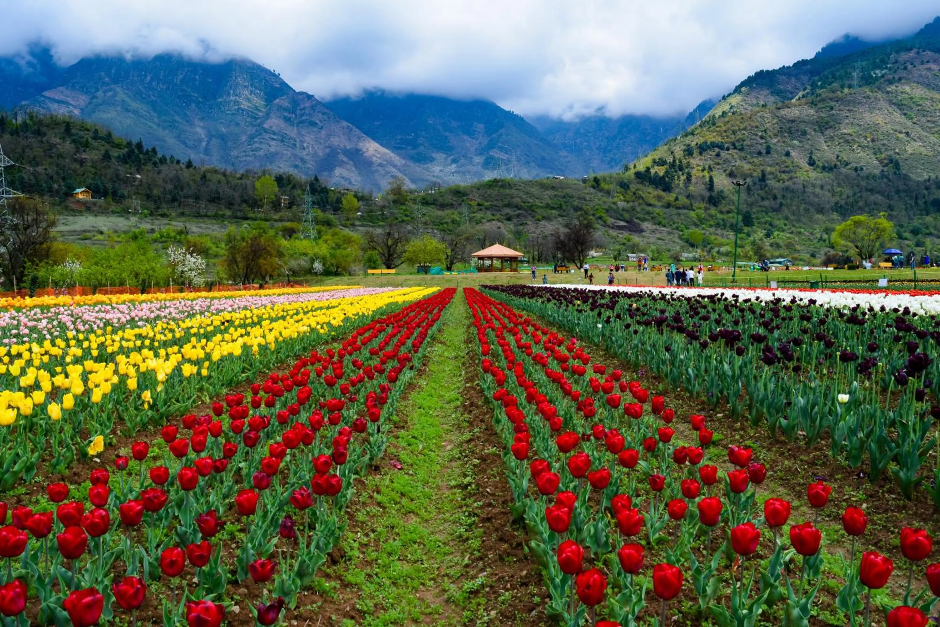 Garden view in The LaLit Grand Palace Srinagar