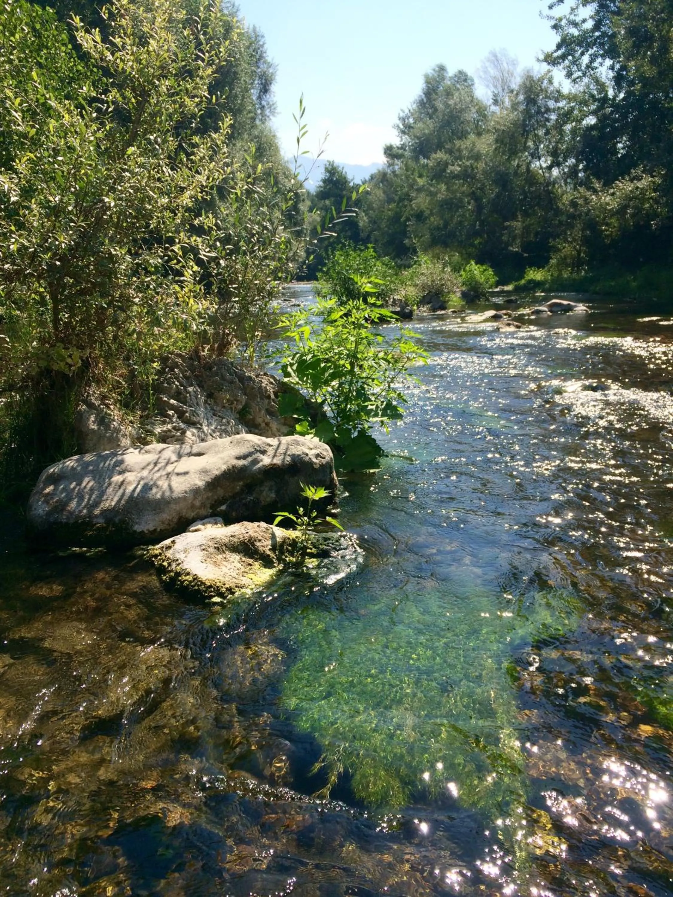 Natural landscape in Affittacamere Varone