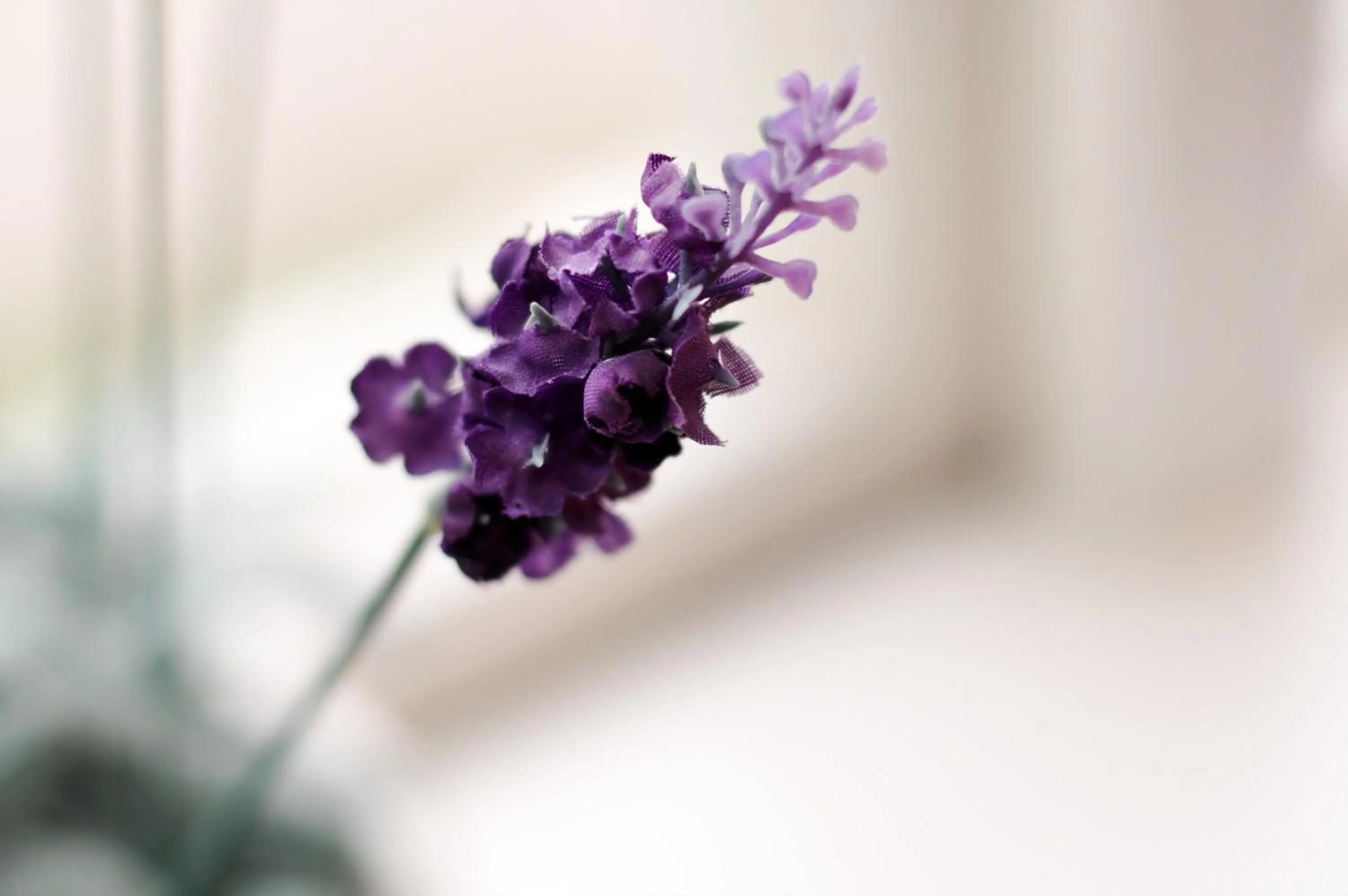 Decorative detail in Pensionat Prästgården