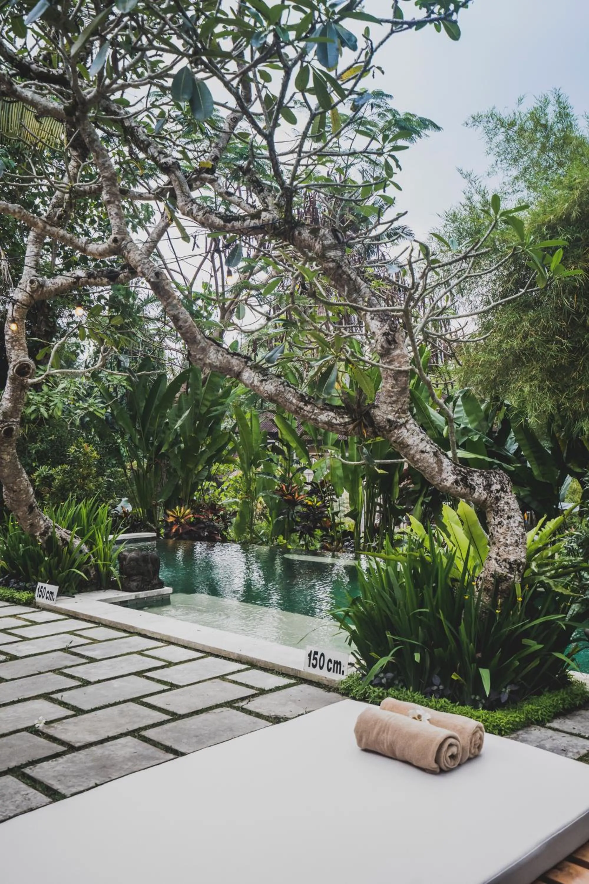 Natural landscape in Luwak Ubud Villa & Jungle Suite