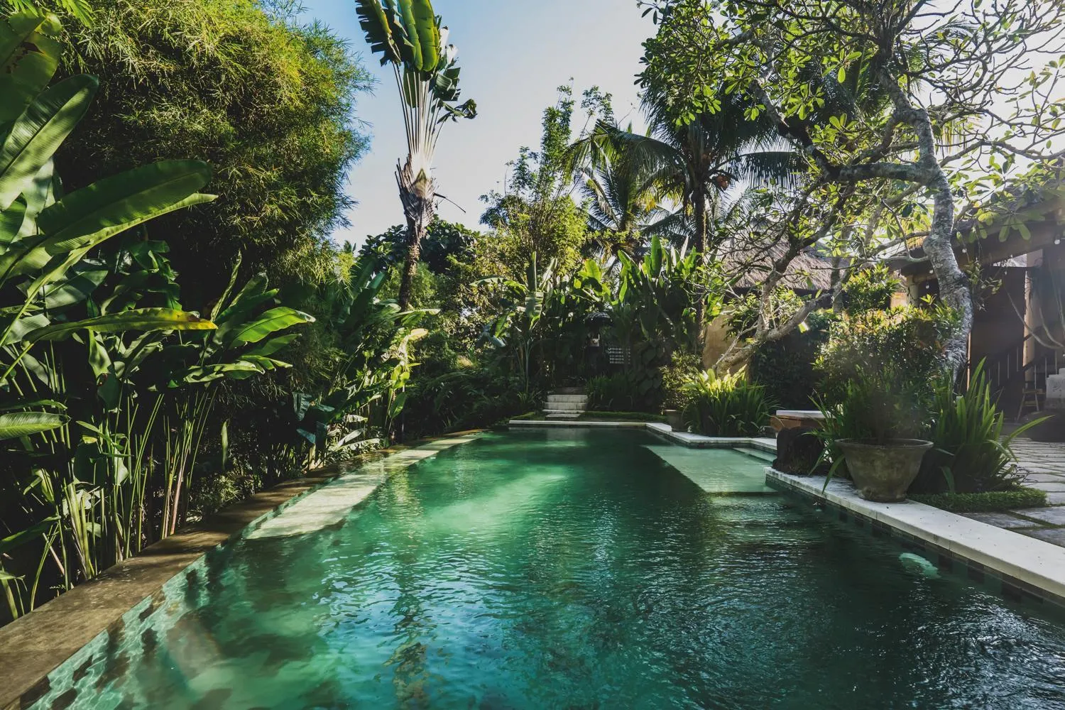 Natural landscape in Luwak Ubud Villa & Jungle Suite